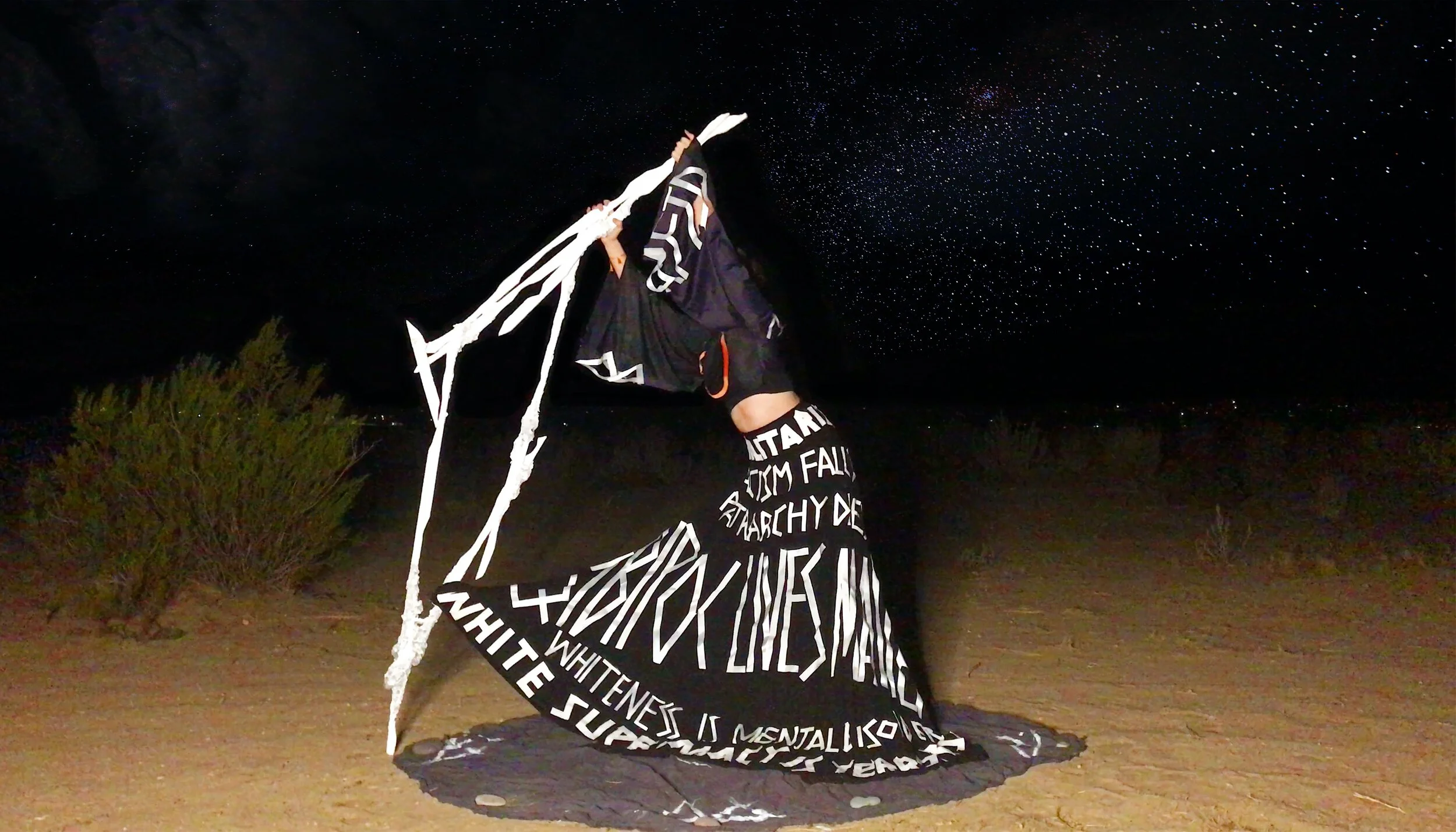 PERFORMANCE X2 final PRINT small.jpg