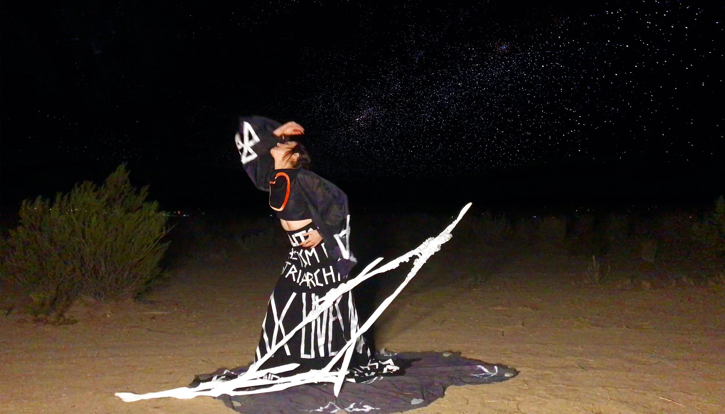 PERFORMANCE X1 final PRINT small.jpg