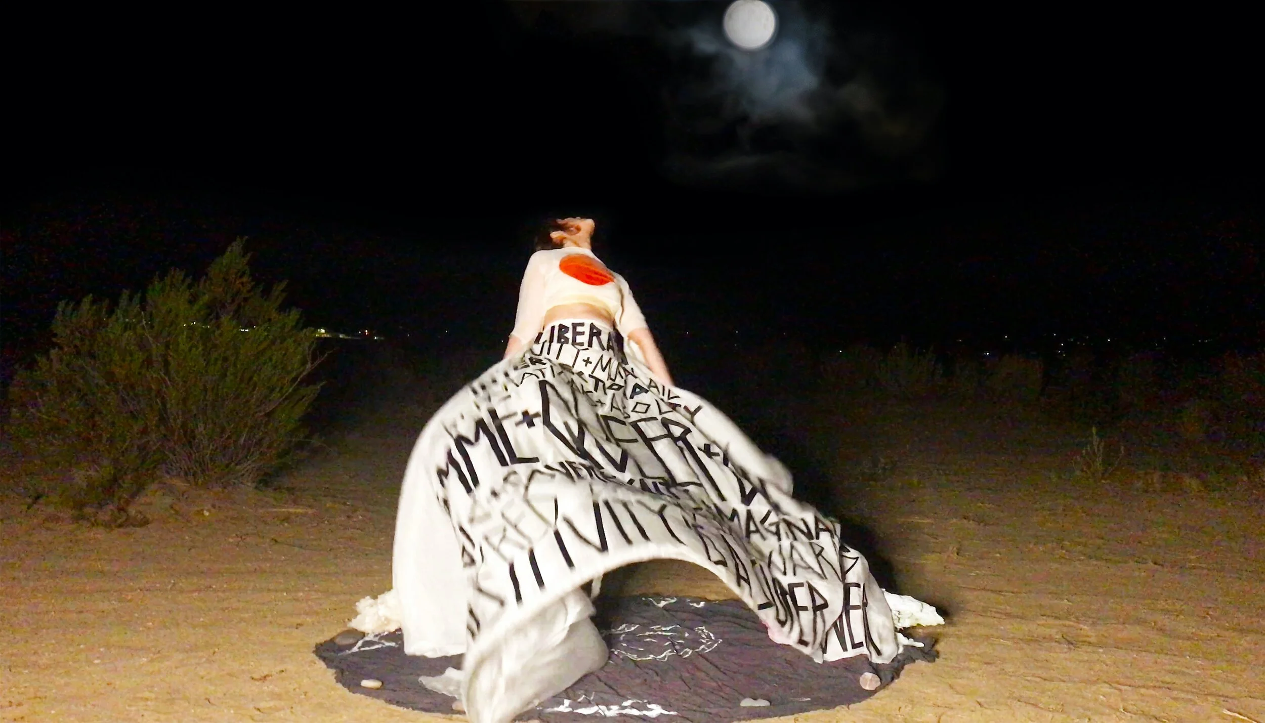 PERFORMANCE O2 final PRINT small.jpg