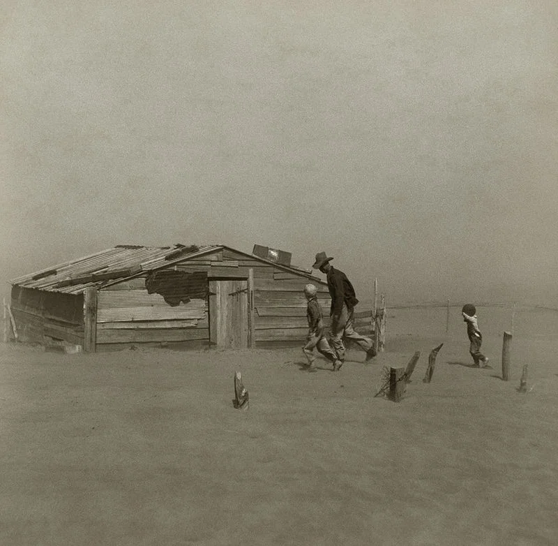A farmer and his two sons during a dust storm, 1936. Photo: Arthur Rothstein ***See below for more on the Dust Bowl and shelterbelts.***