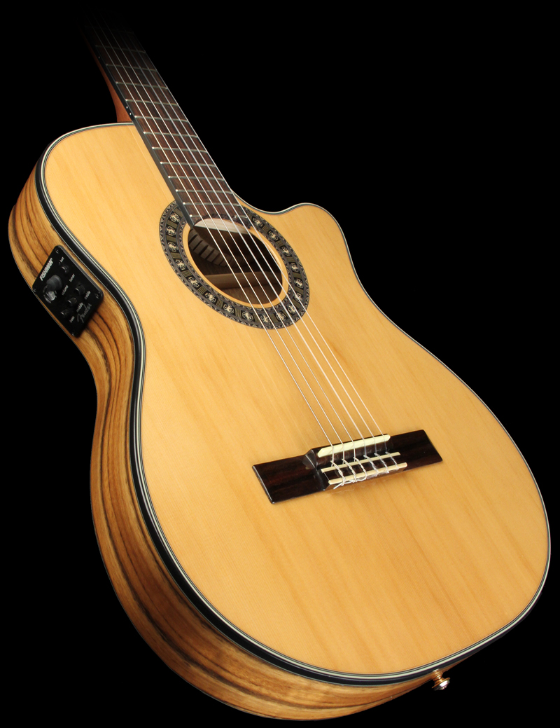 Fender 240sce 01