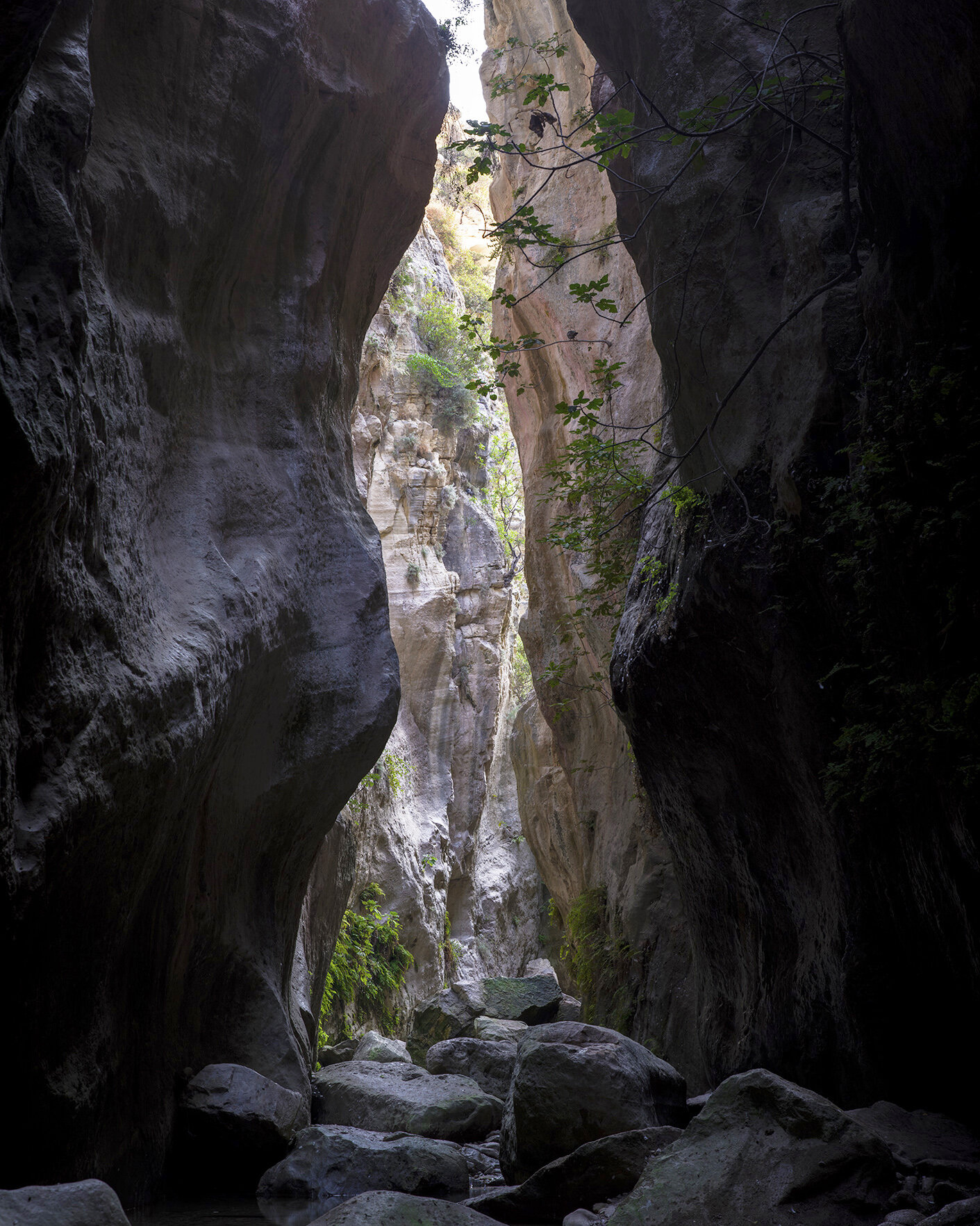 Avakas Gorge.jpg