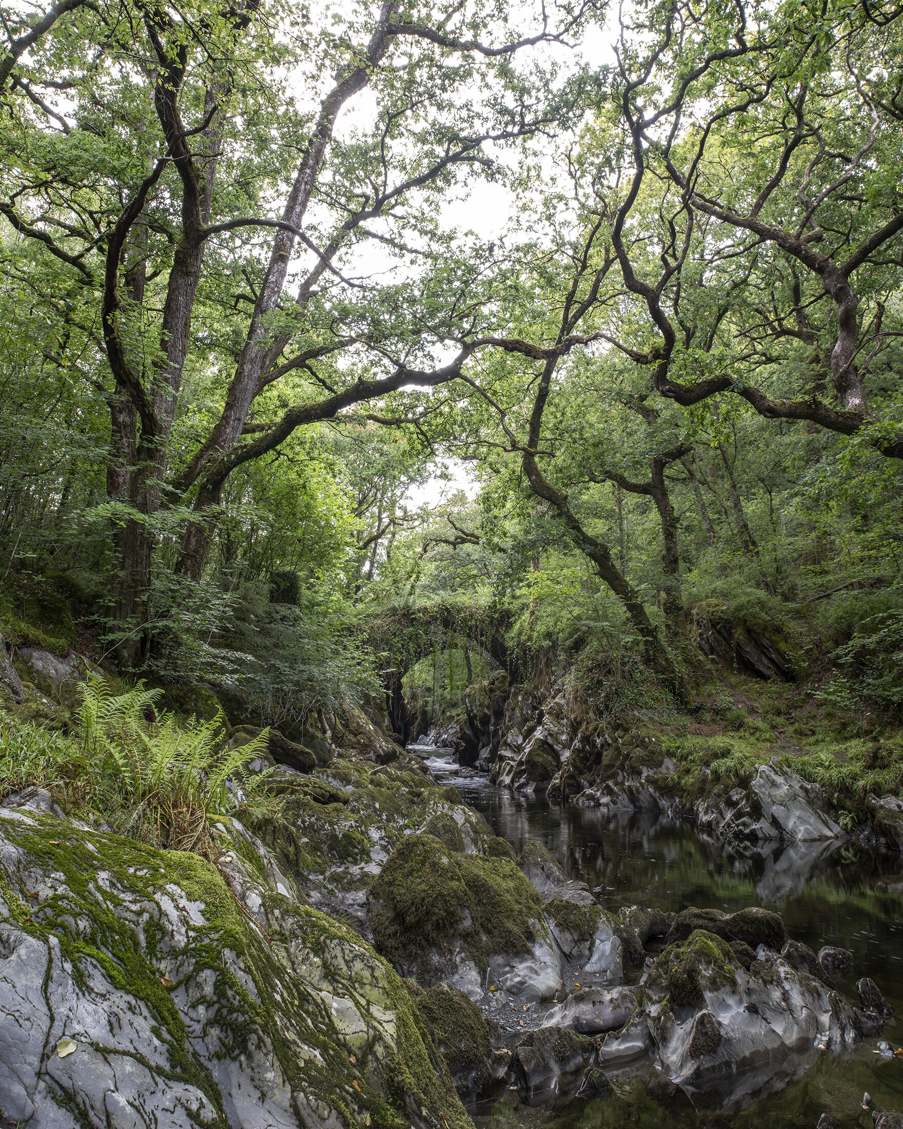 Fairy Bridges 02 lr.jpg