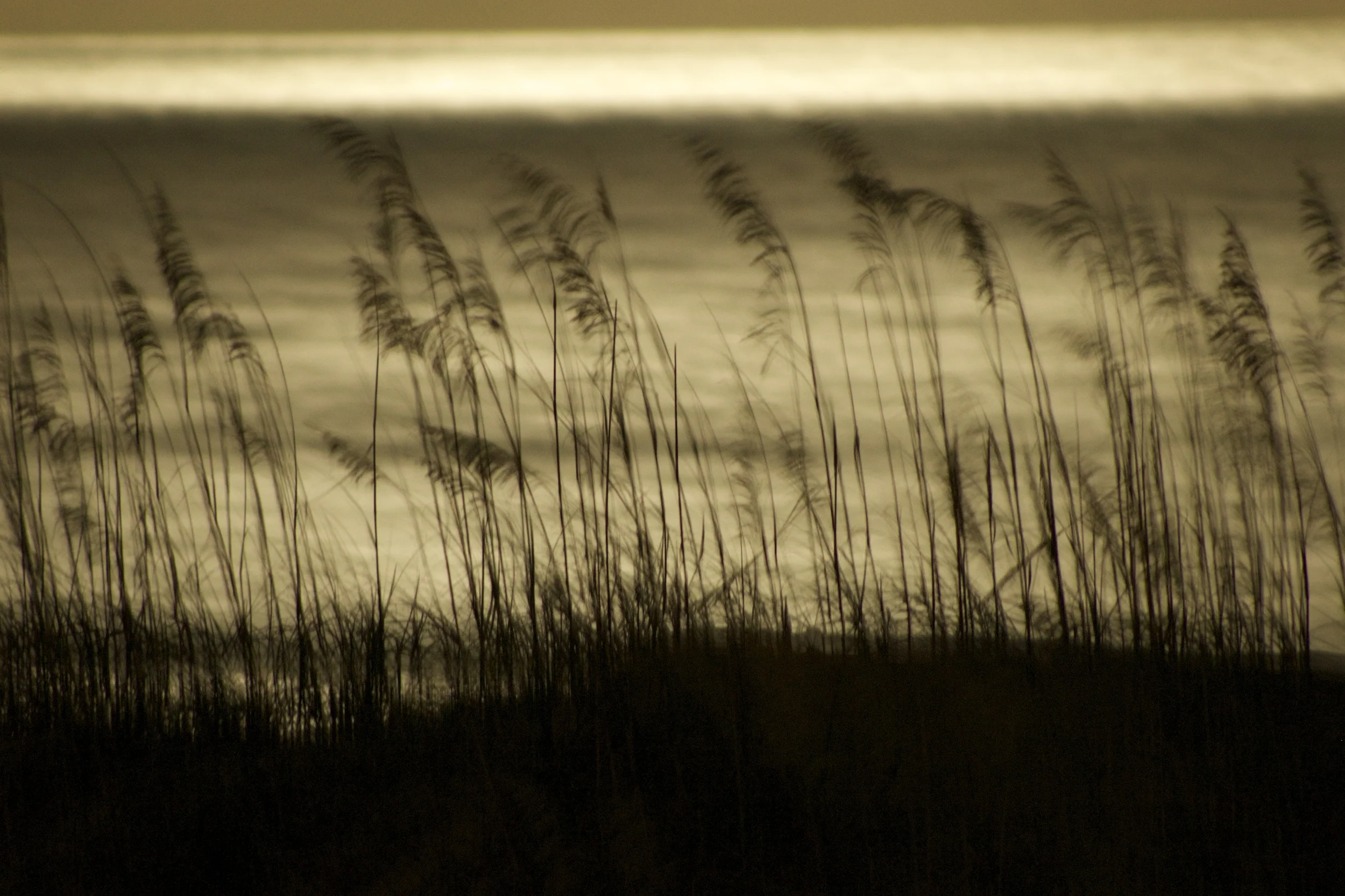 Figure Eight Island, NC