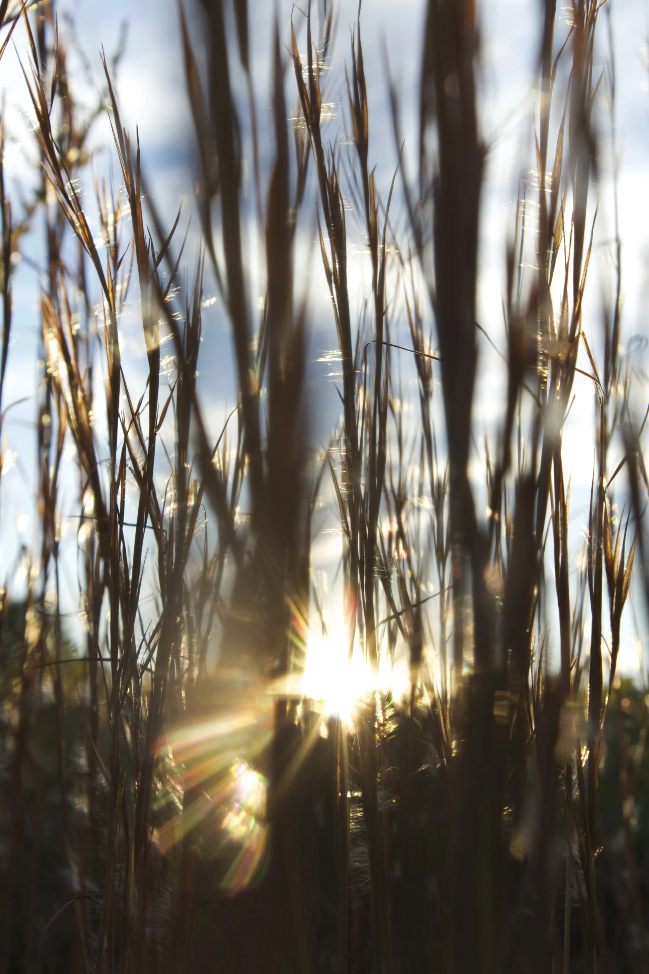 _MG_5635.jpg