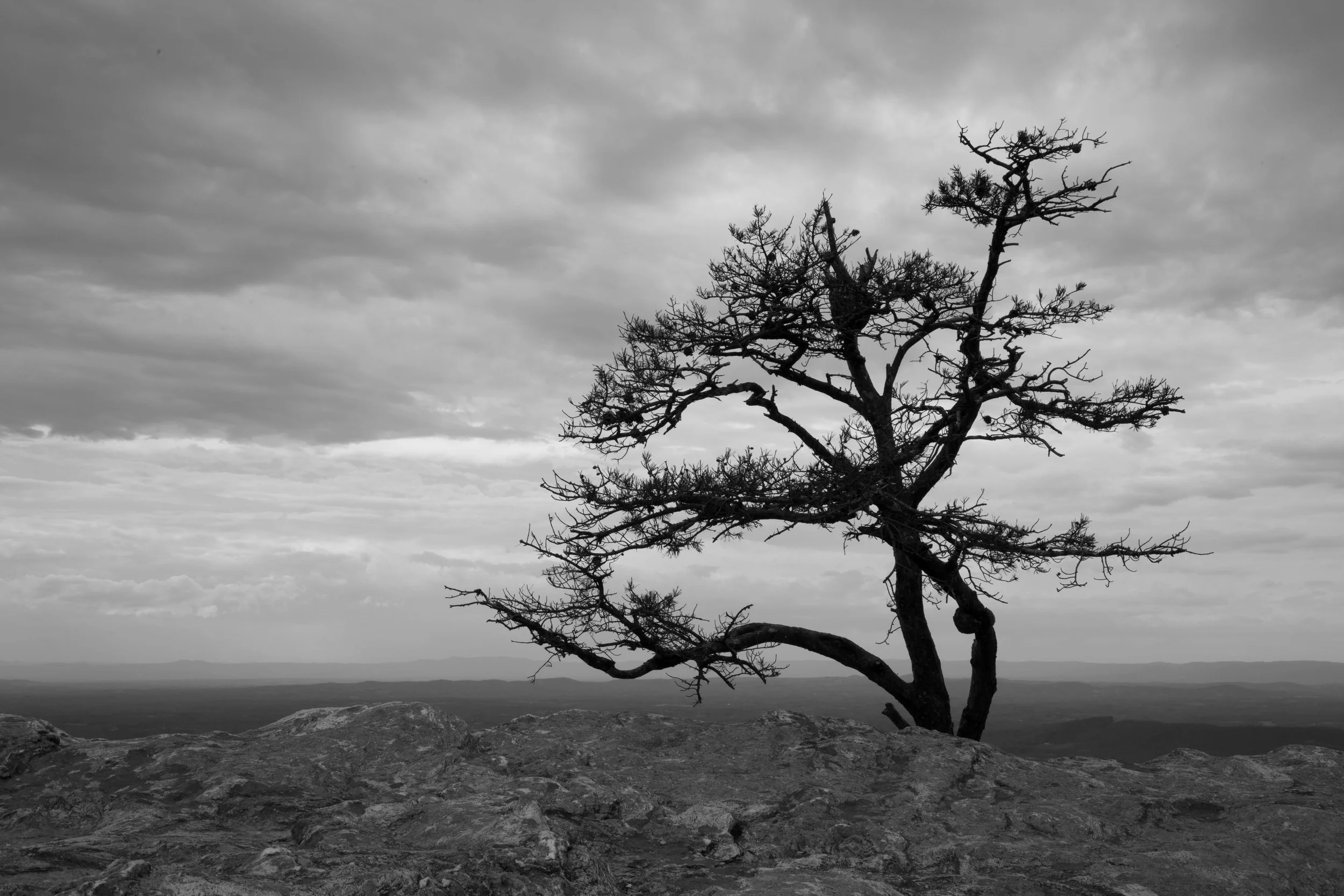 Moore's Knob, Hanging Rock State Park, NC