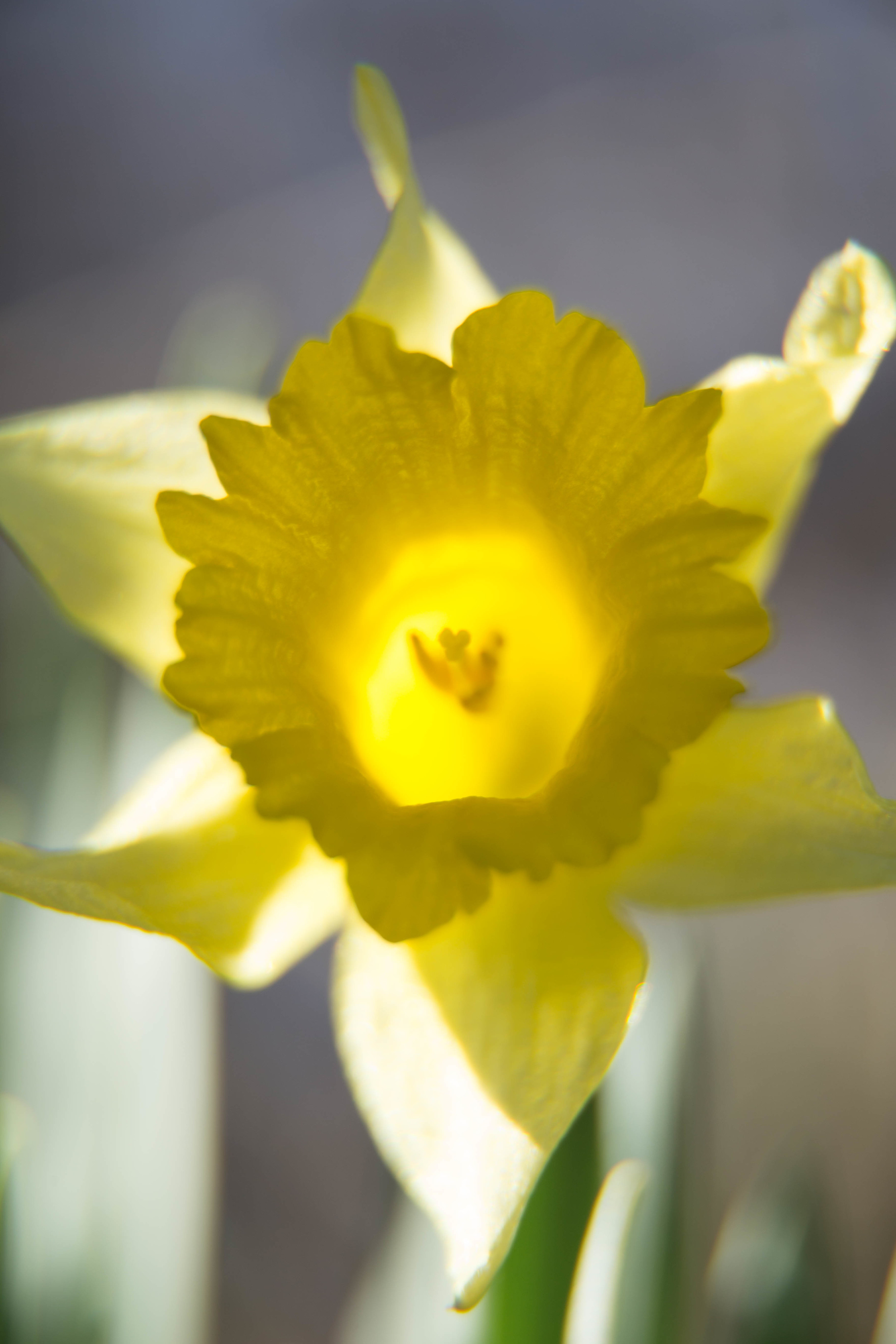 untitled-62-5.jpg