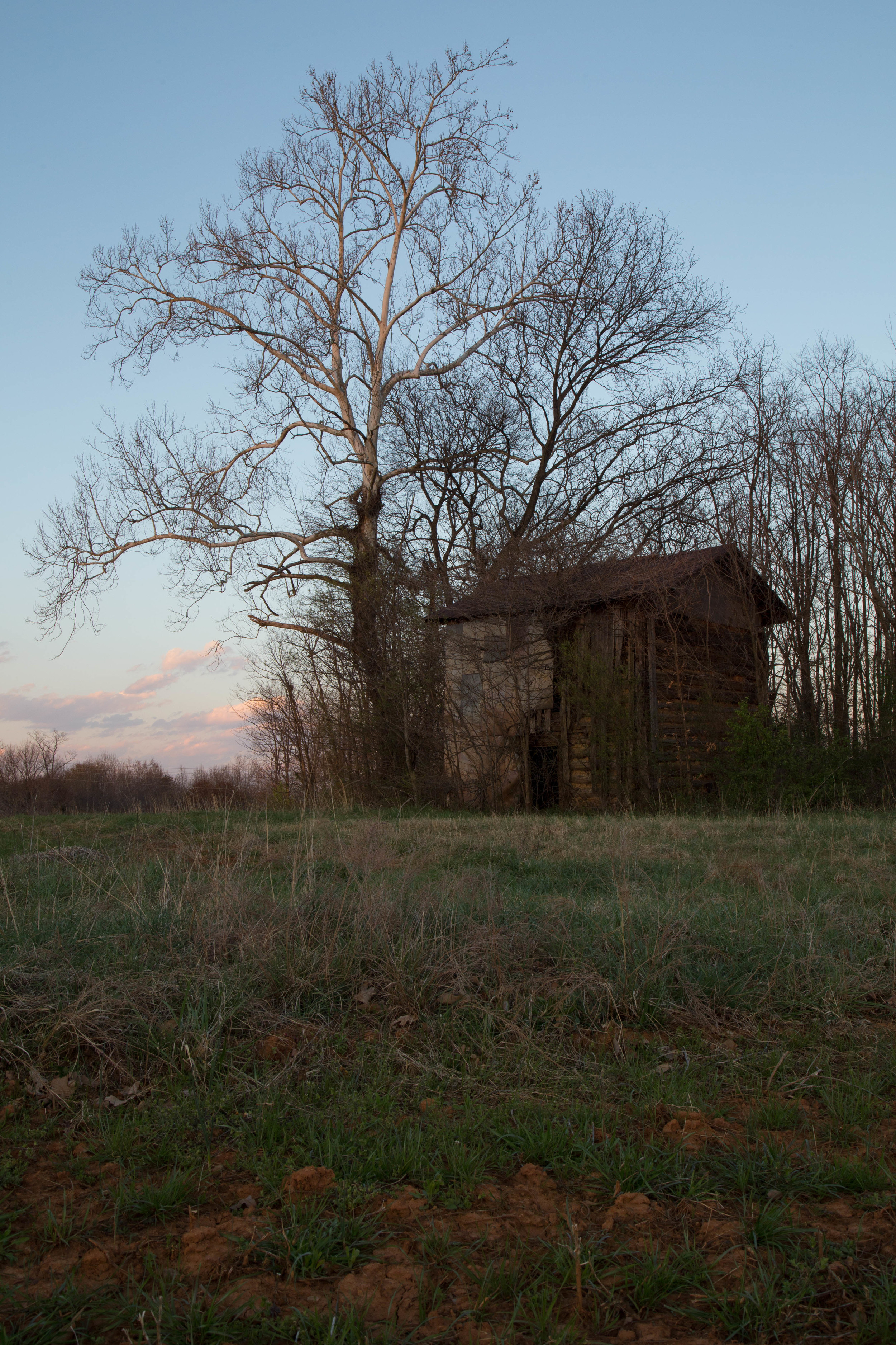 20150331_March Farm Sunset-20-1.jpg
