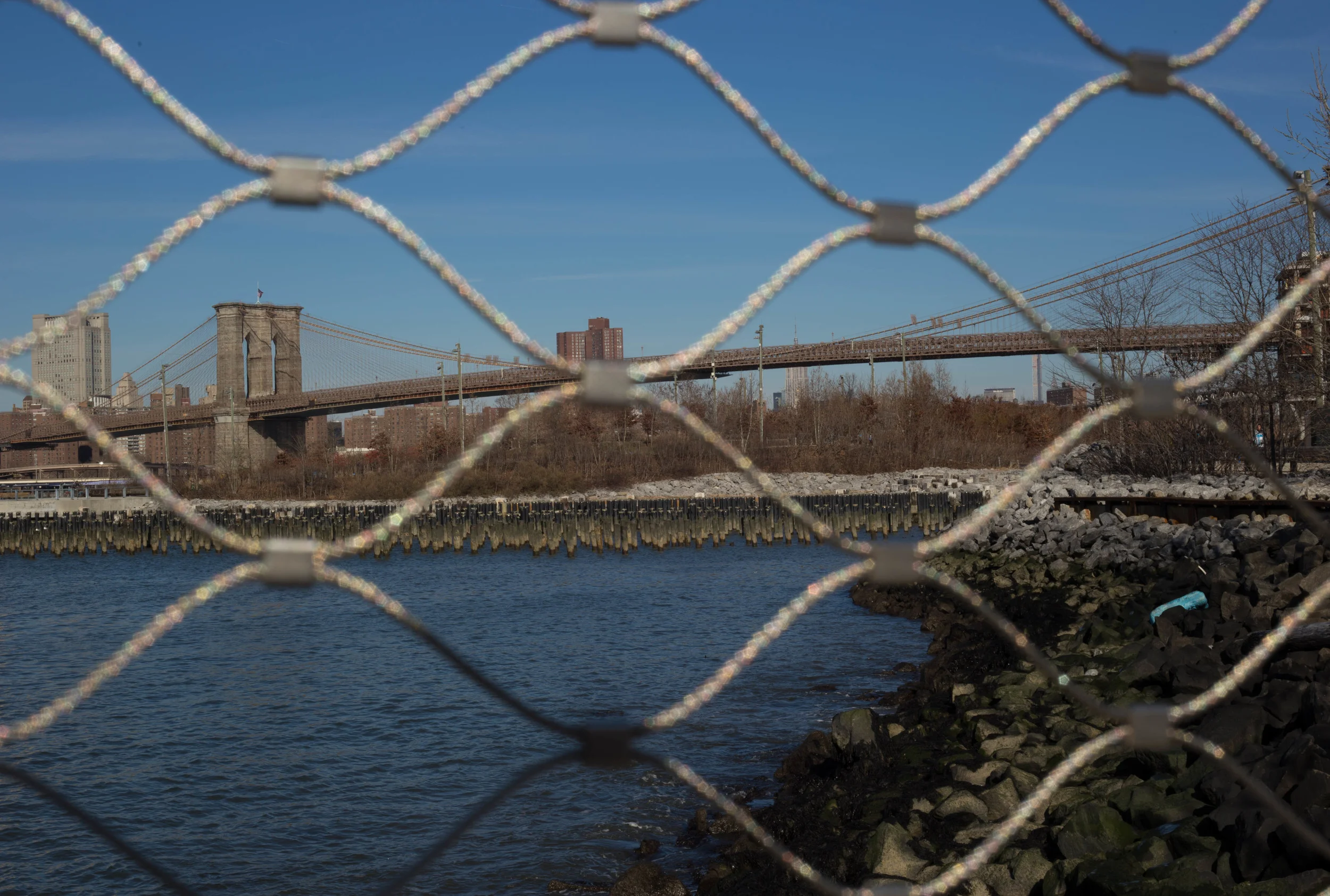 Brooklyn_20150101-5-1.jpg