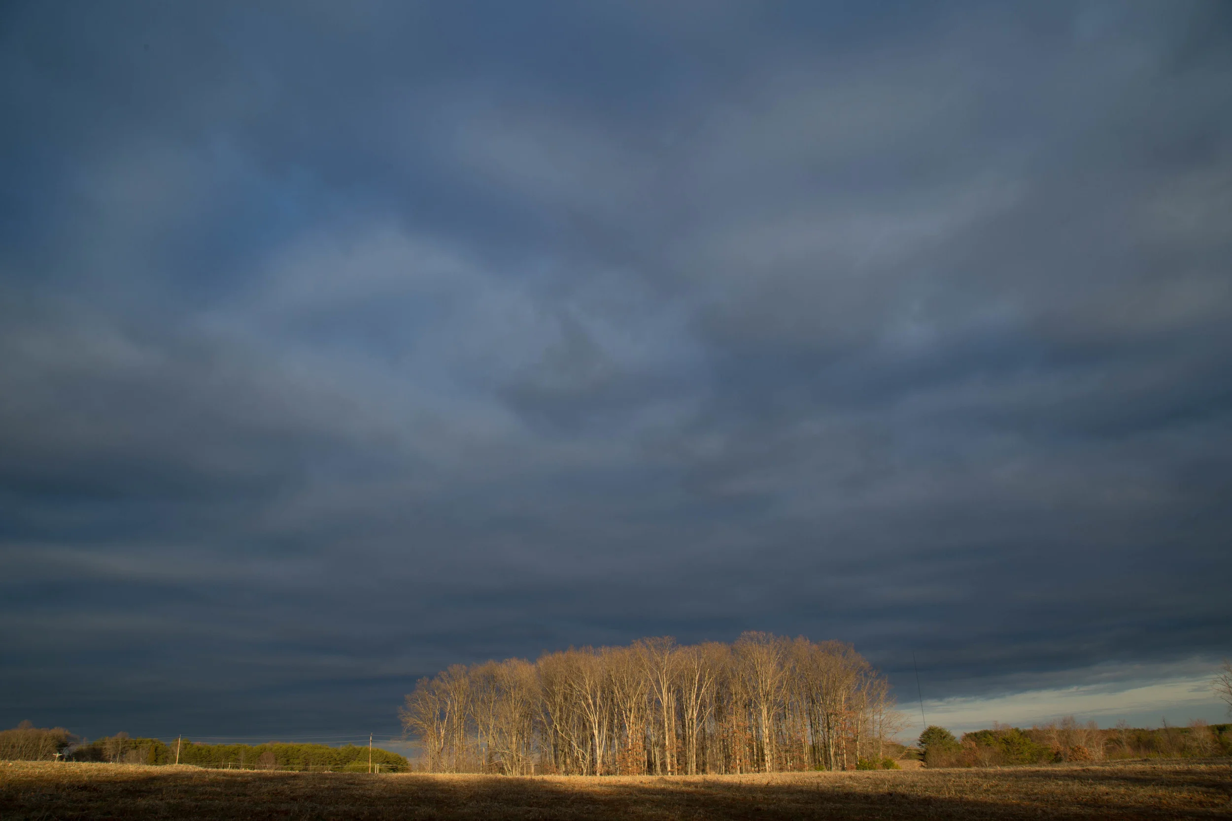 Landscapes_March 2015-3-1.jpg
