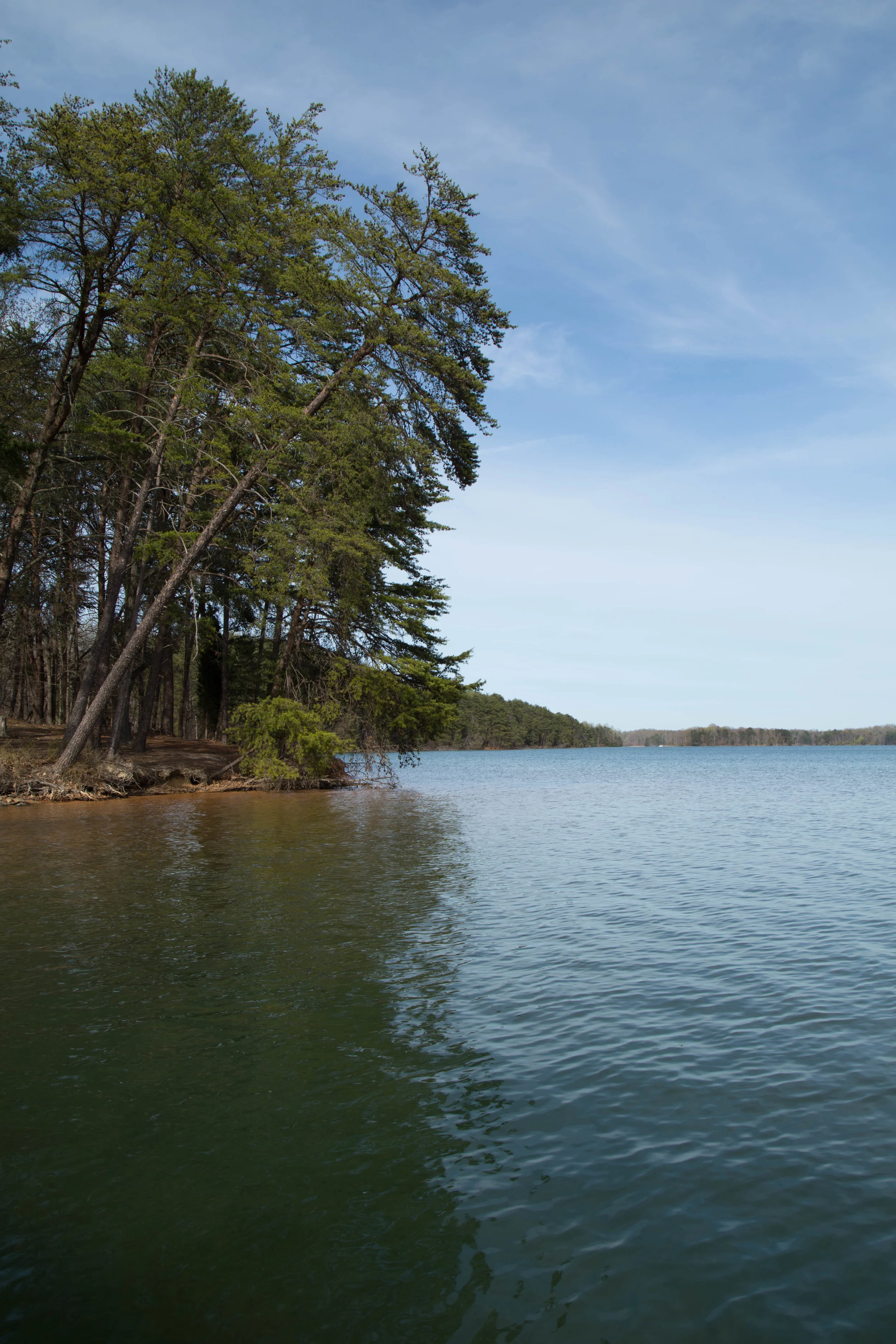 Belews Lake, NC