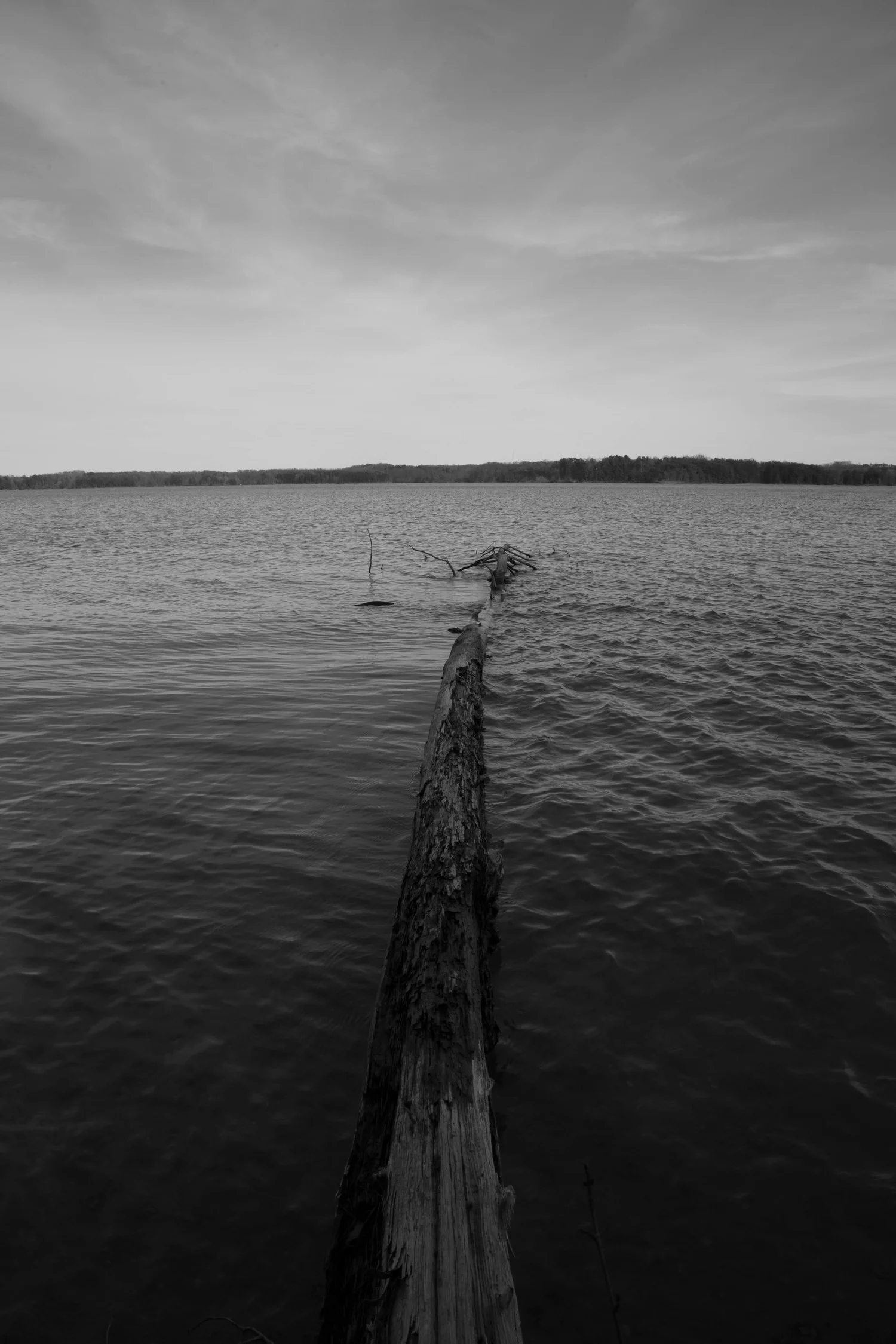 Belews Lake, NC