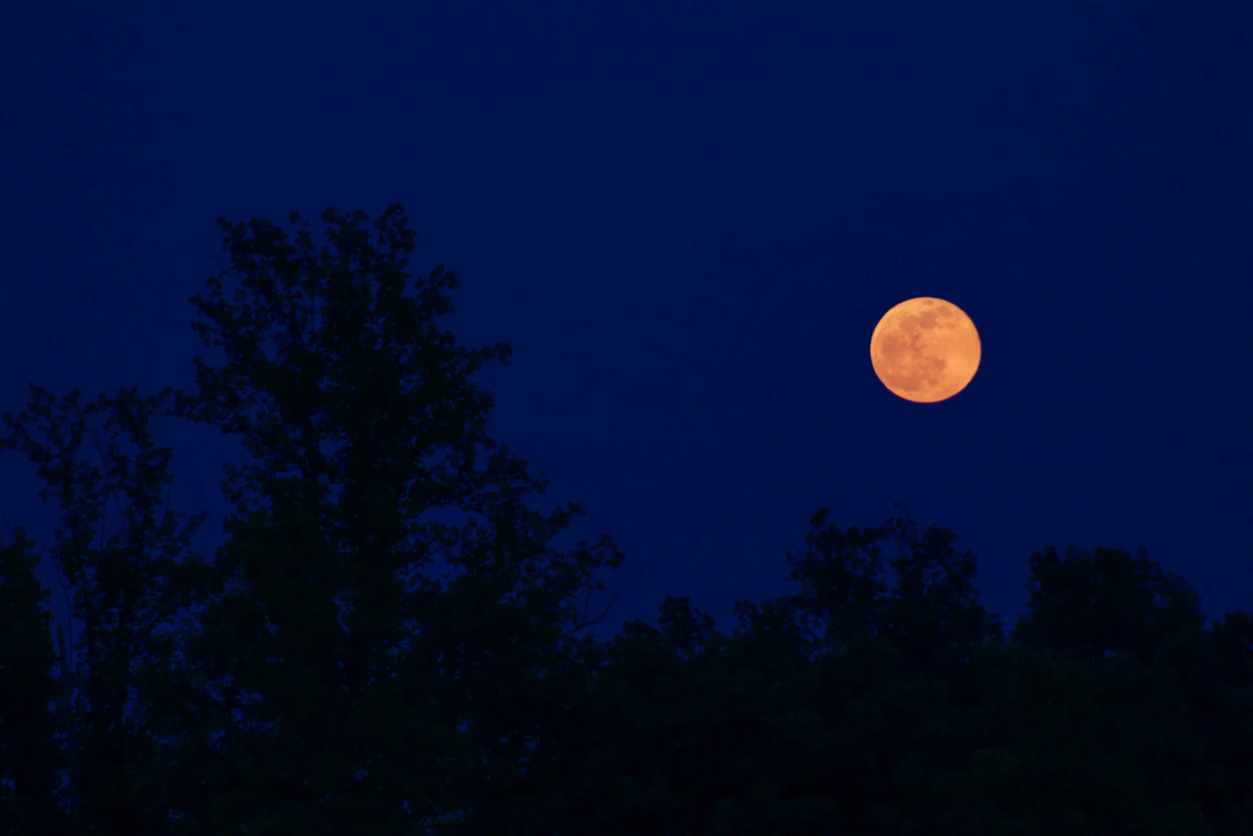 Moon_May2014 (1 of 1).jpg