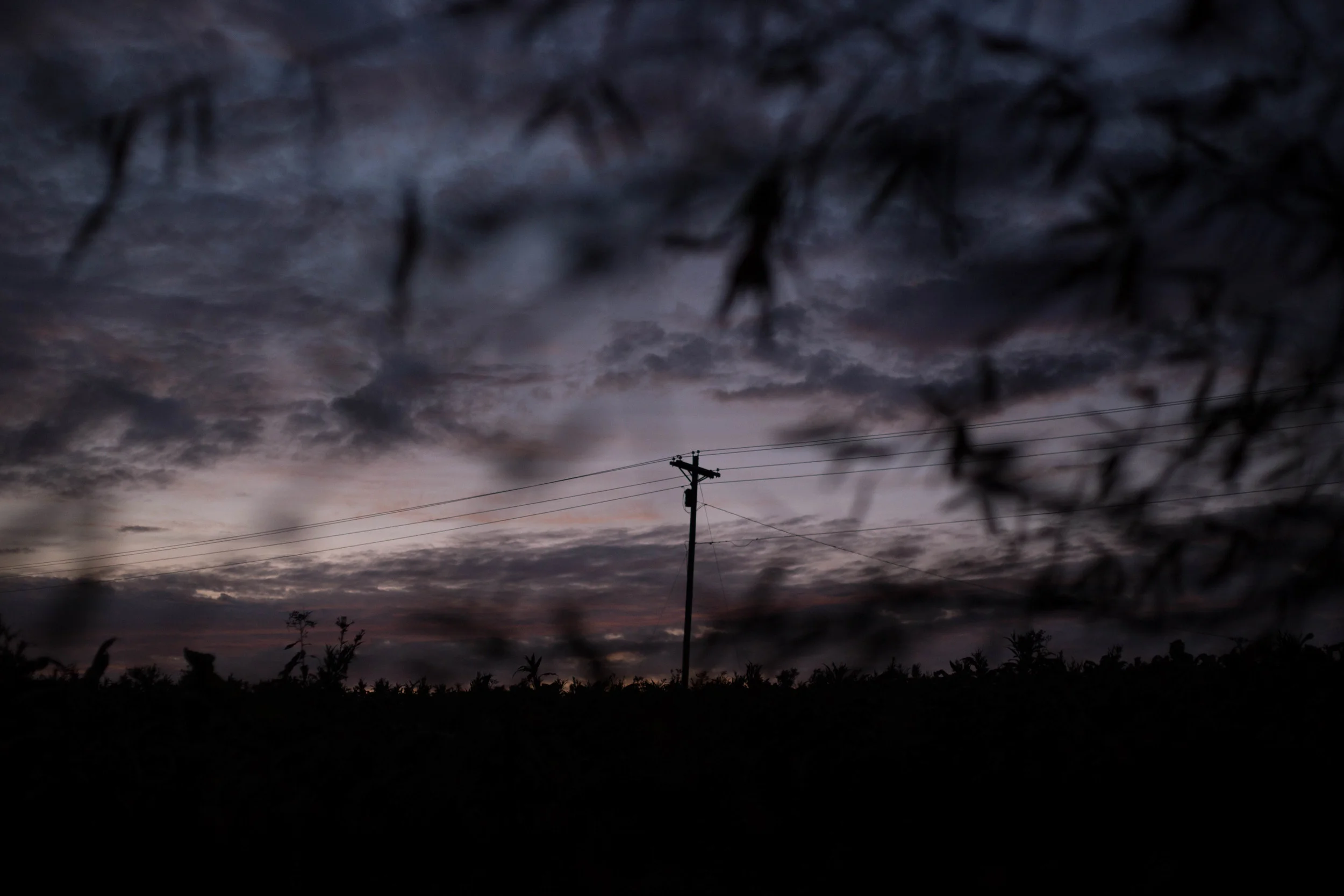 twilight_Nov15-1.jpg