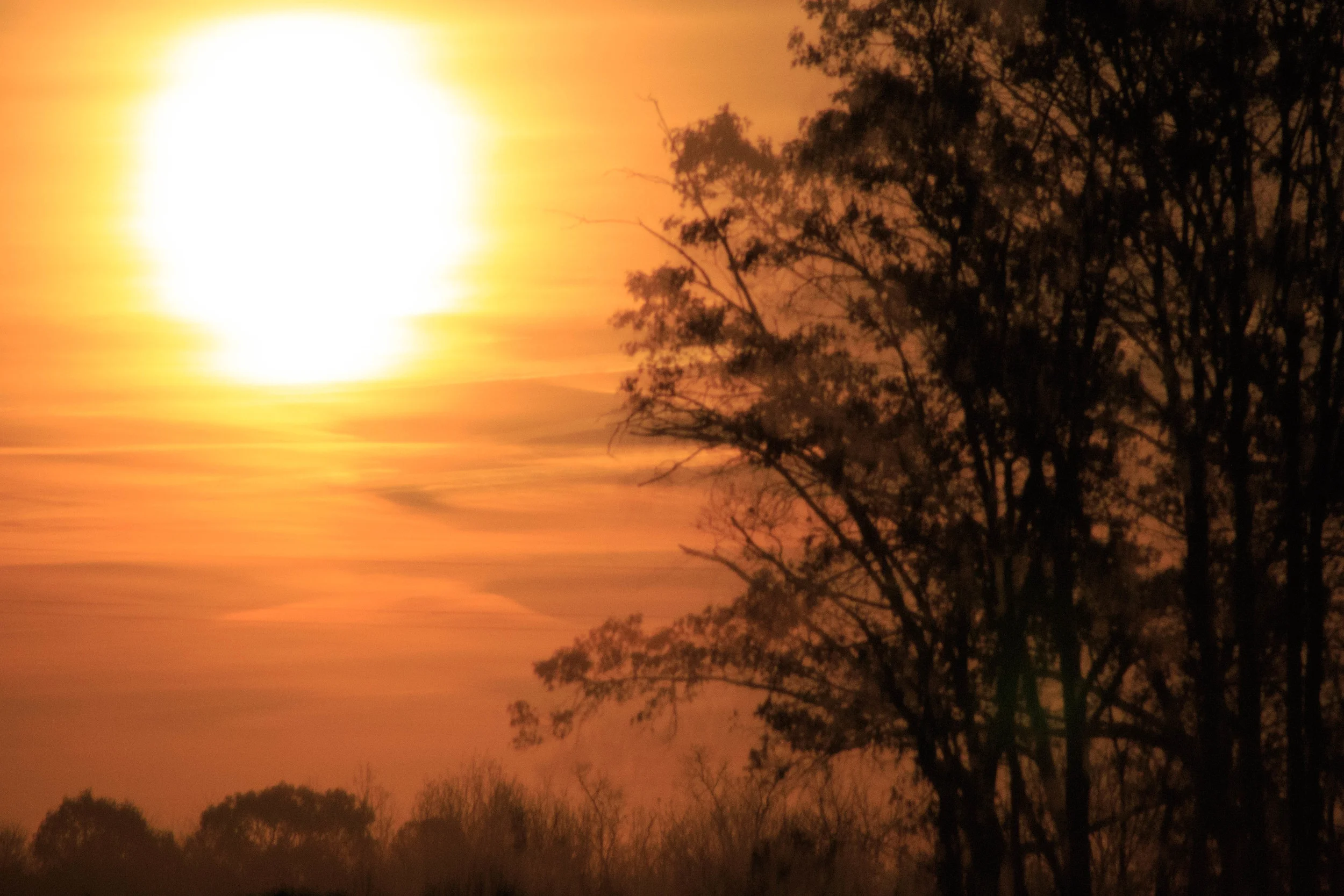 night sky-0316.jpg