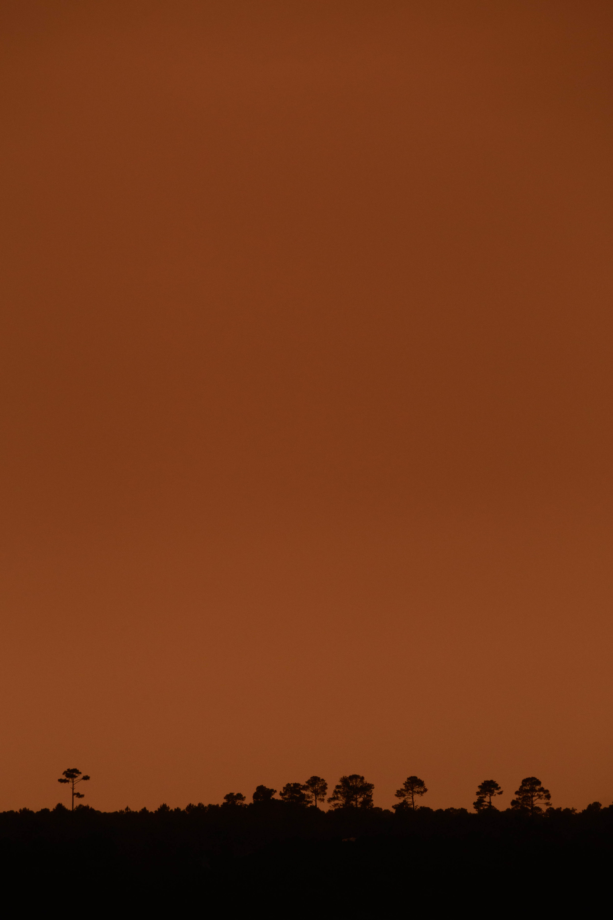 F8_Sunset-16.jpg
