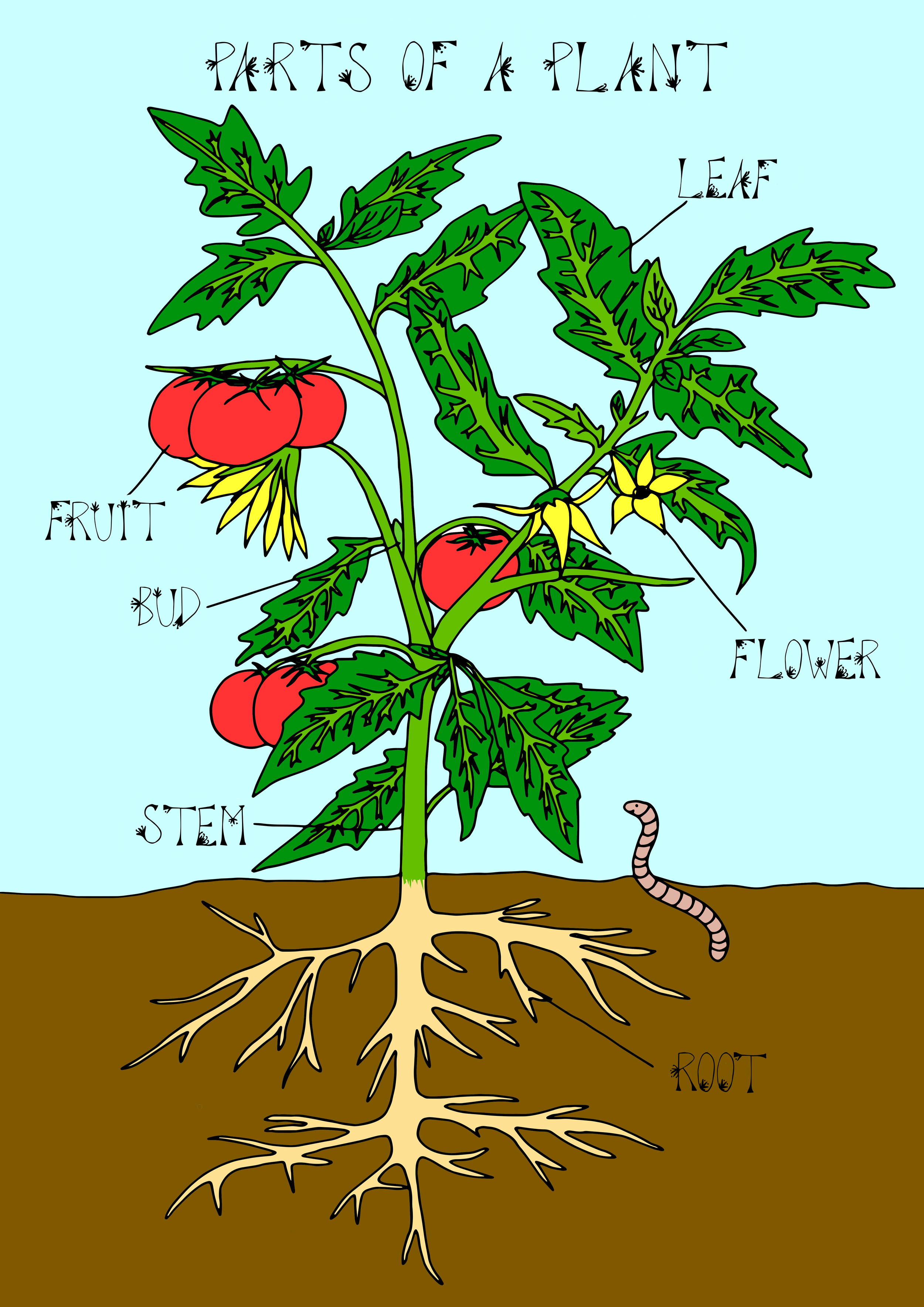 Plant Poster copy.jpg