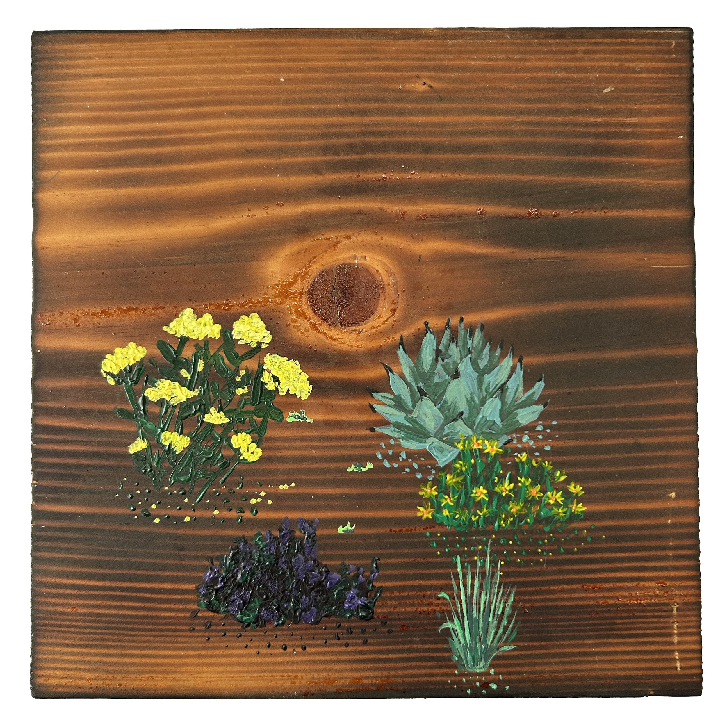 Xeric 3 - £50 acrylic on torched pine - 16cm x 16cm 