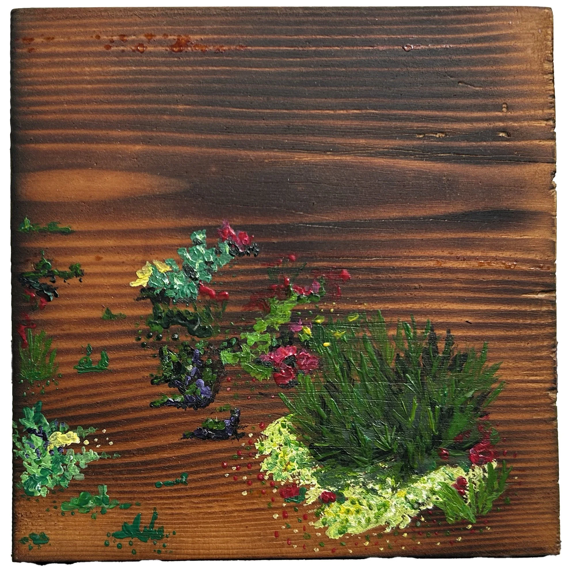 Xeric 2 - £50 acrylic on torched pine - 16cm x 16cm 