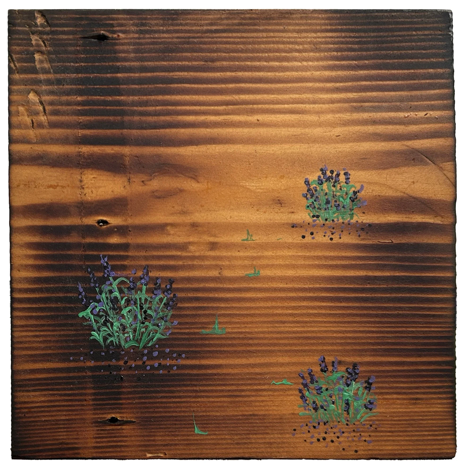 Lavender - £50 acrylic on torched pine - 16cm x 16cm