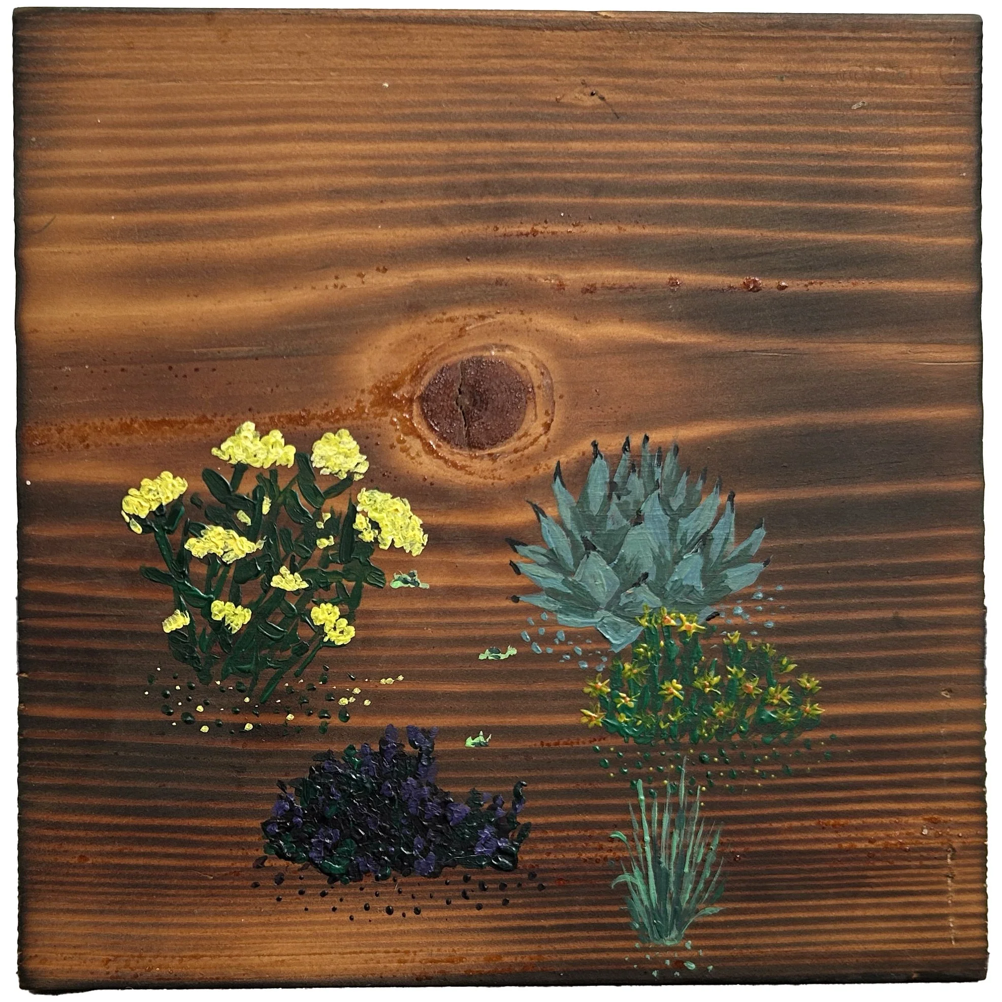 Xeric 3 - £50 acrylic on torched pine - 16cm x 16cm 