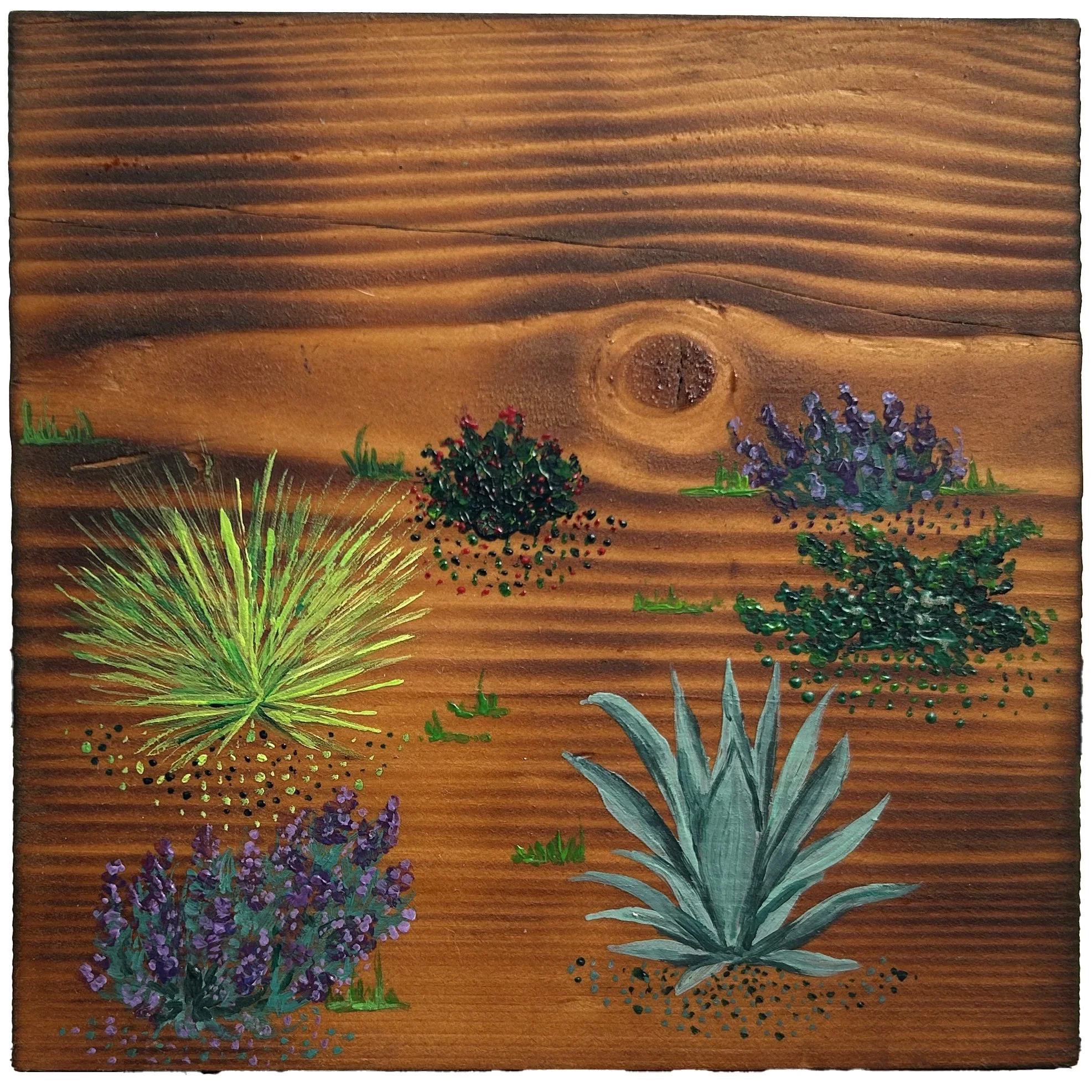 Xeric 1 - £50 acrylic on torched pine - 16cm x 16cm 