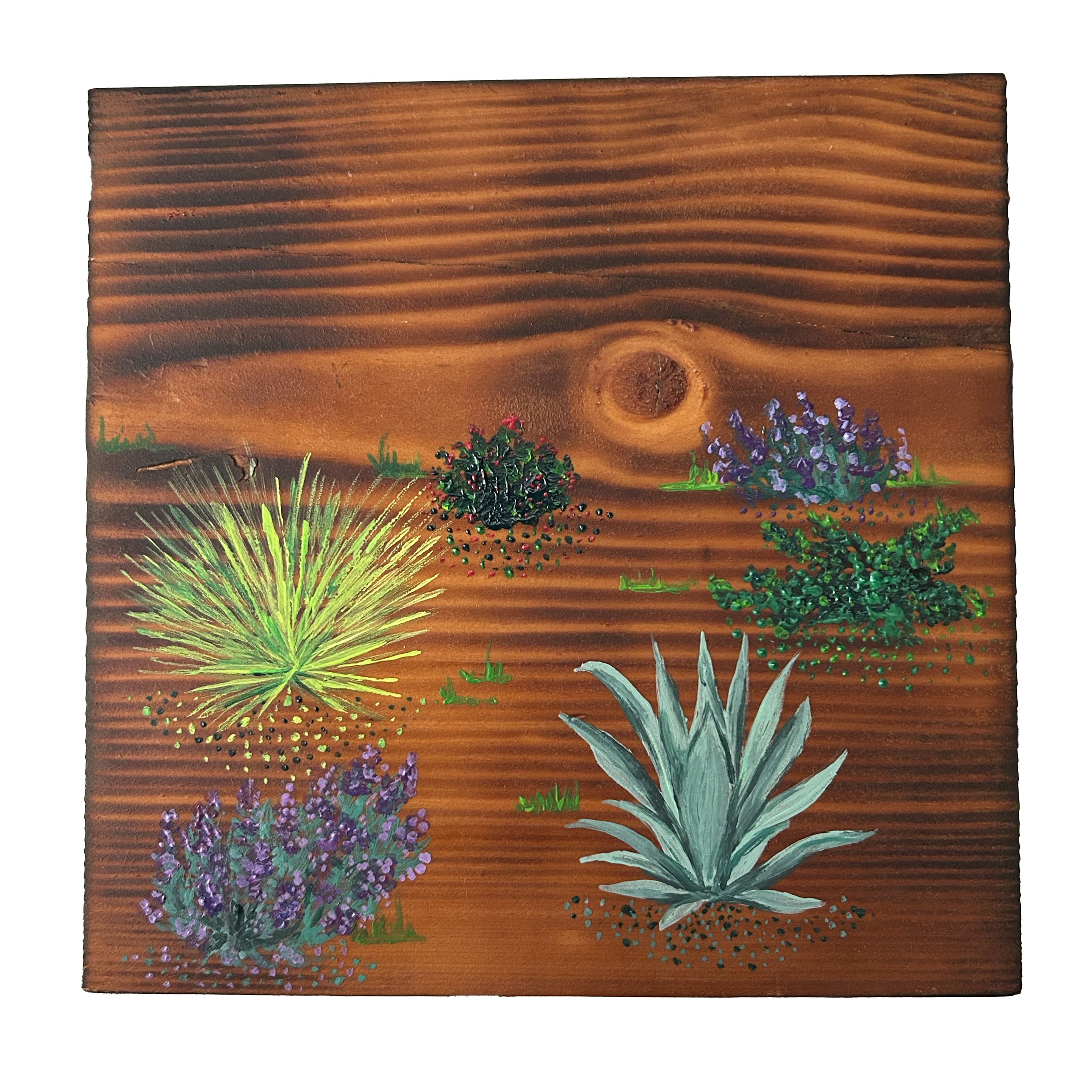 Xeric 1 - £50 acrylic on torched pine - 16cm x 16cm 