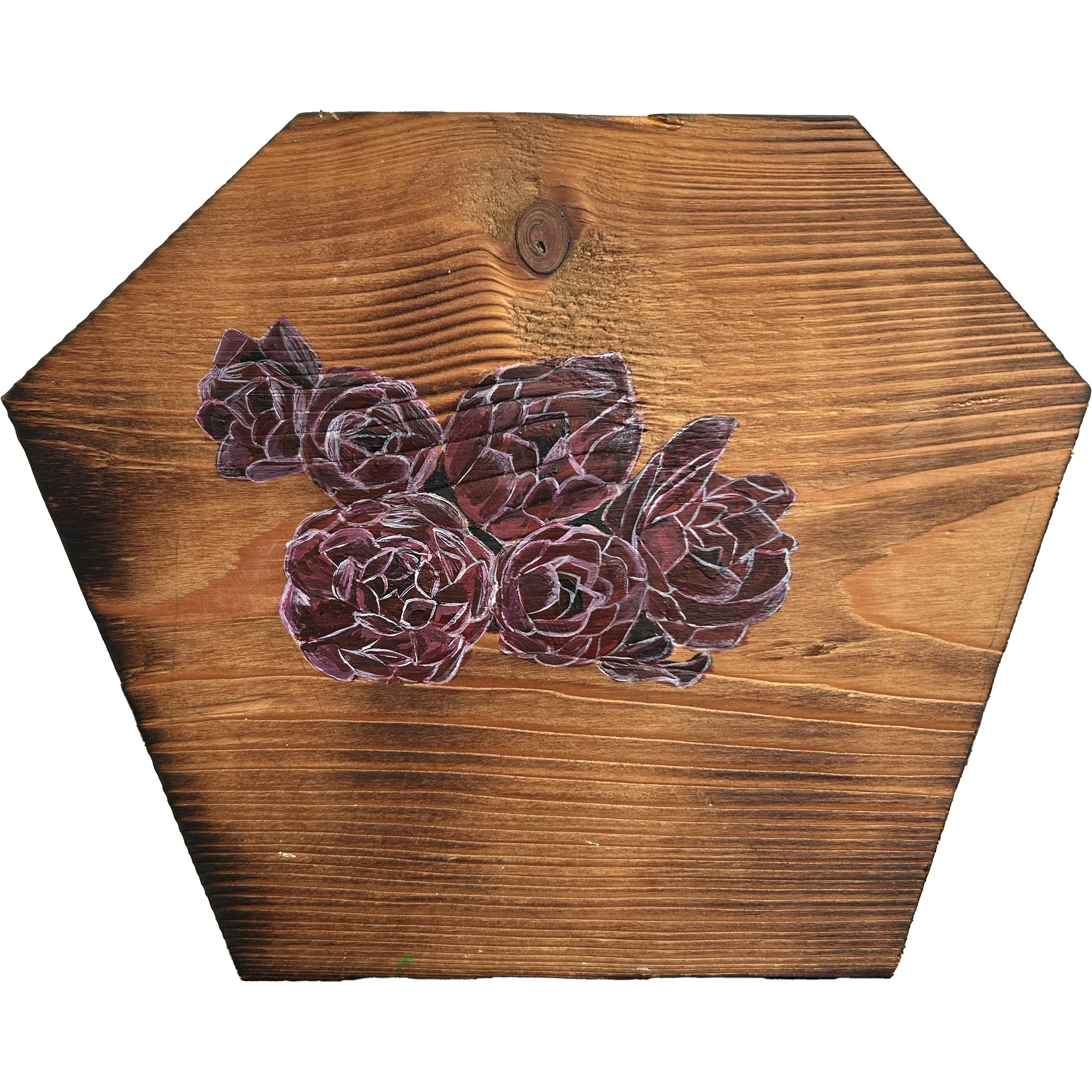 Sedum (stonecrop) - £60 acrylic on torched pine 26cm x 21.5cm