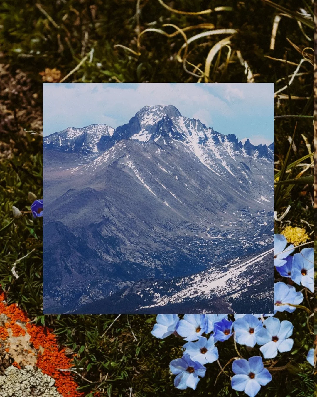 Rocky Mountain National Park, you will always have our hearts. 💕 These peaks speak for themselves. 

Scenes from @ian4earth&rsquo;s visit in June, driving Trail Ridge Road and hiking some of the Ute Trail. 🫶🏻

#rockymountainnationalpark #trailridg