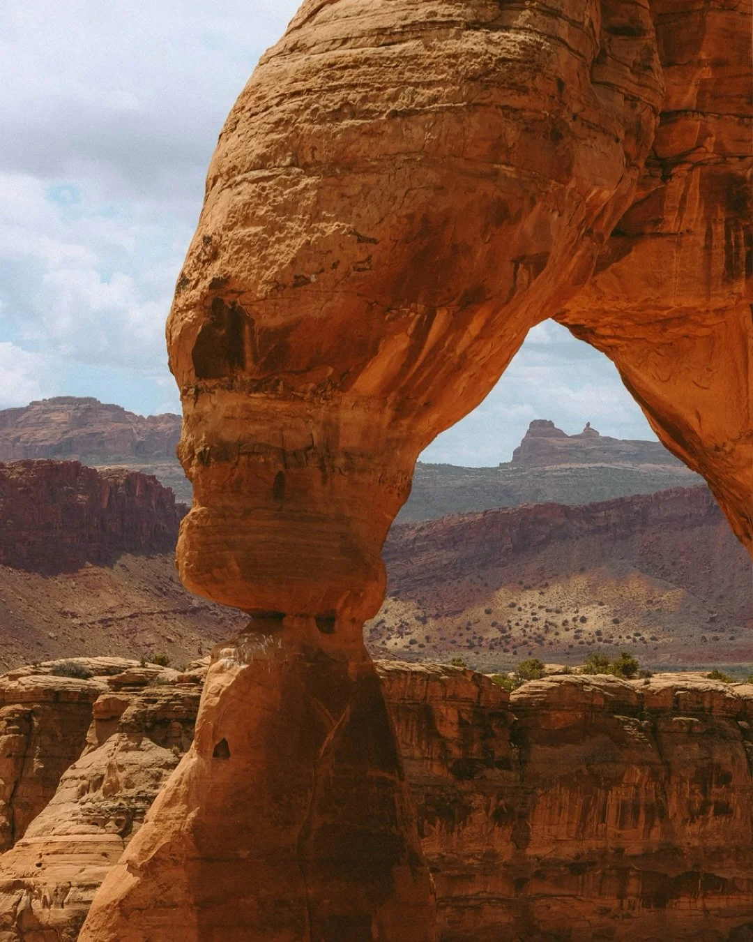 Arches National Park 🧡 from our Utah Mighty Five road trip in May! We got rainy weather and rainbows one day, followed by sunshine and blooming desert roses the next. What a pretty little treat. ✨ 

Next stop, a quick day in Canyonlands. We definite