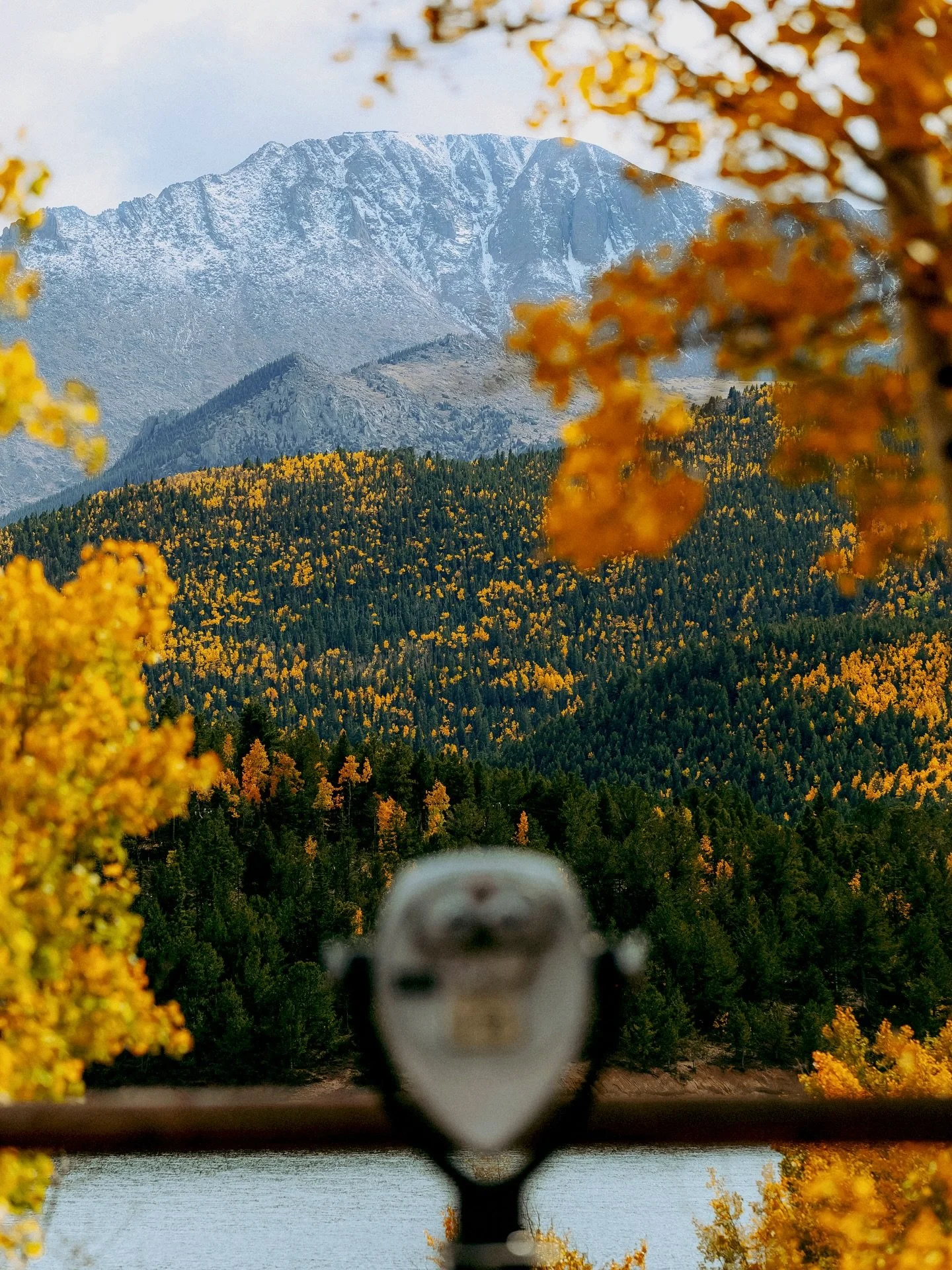 A golden wave made its way to Colorado Springs 🍂 we love to chasing the fall colors around the mountains each year! ✨🍁💛 
#coloradospringsphotography #coloradosprings #pikespeak #colorfulcoloradocollective #colorfulcolorado #coloradocameraclub #vi