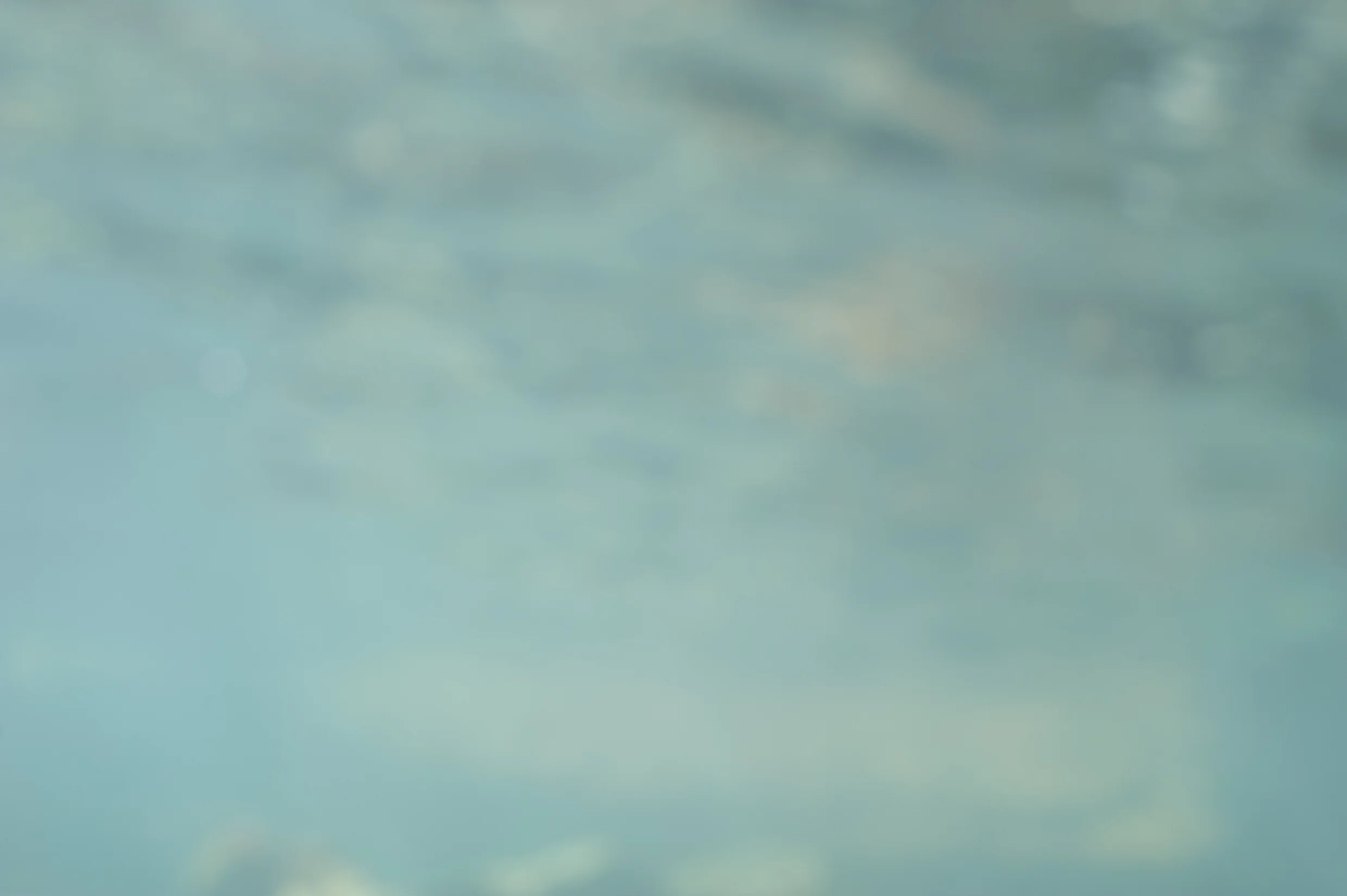 Title: Skelly Tidal Pool III Year: 2014 Medium: Giclee print on Hahnemühle Museum Etching Paper Dimensions: 628mm x 417mm