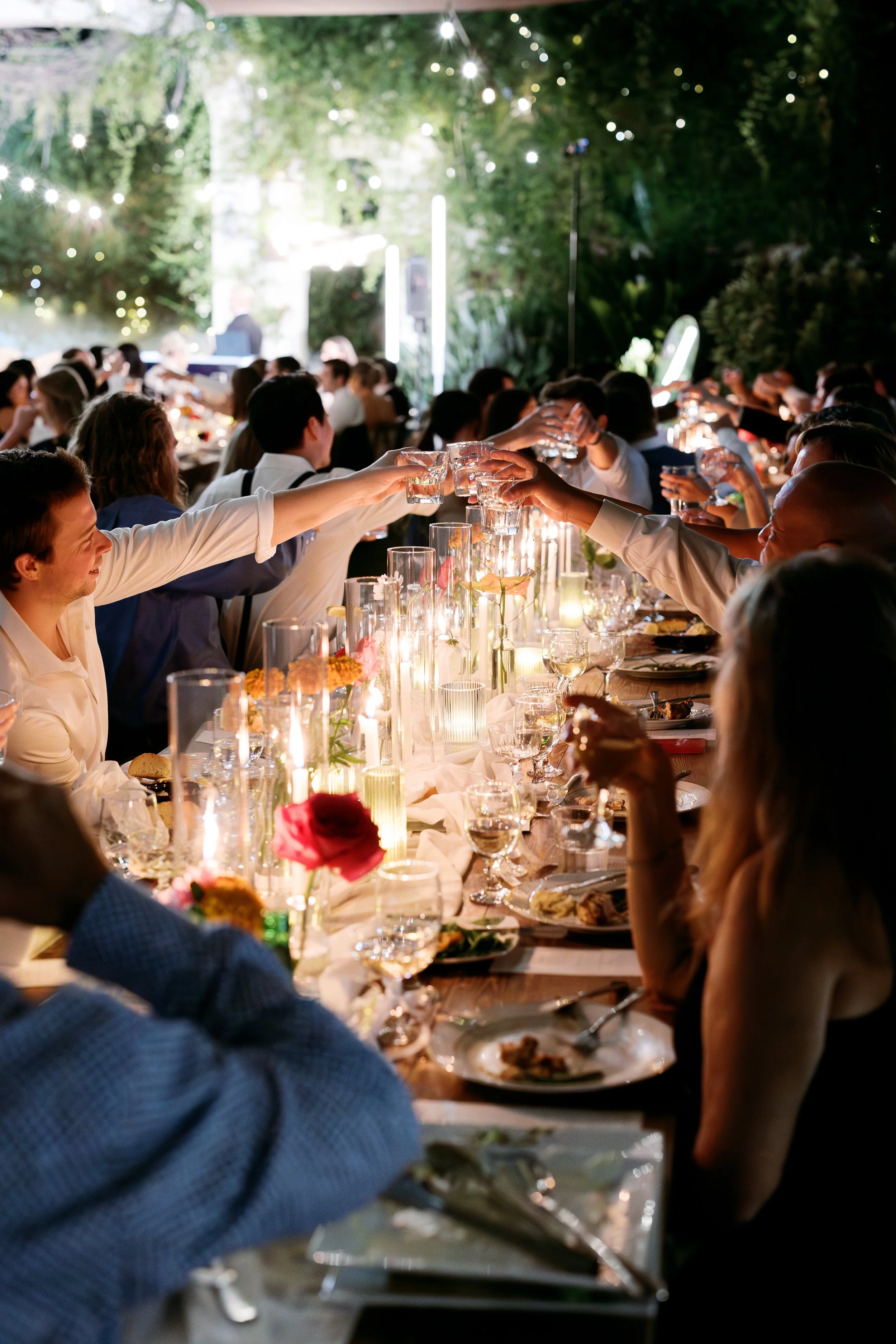 Guests toasting each other during wedding reception at Tivoli Italian Villa in Escondido, California