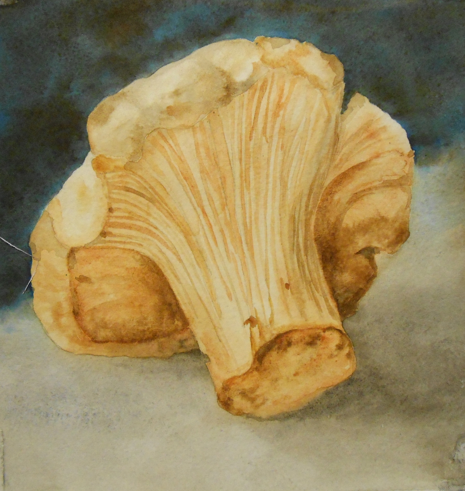 mushroom #1