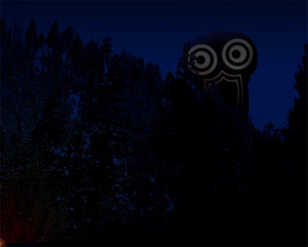 Visit from the whippoorwill_2.jpg