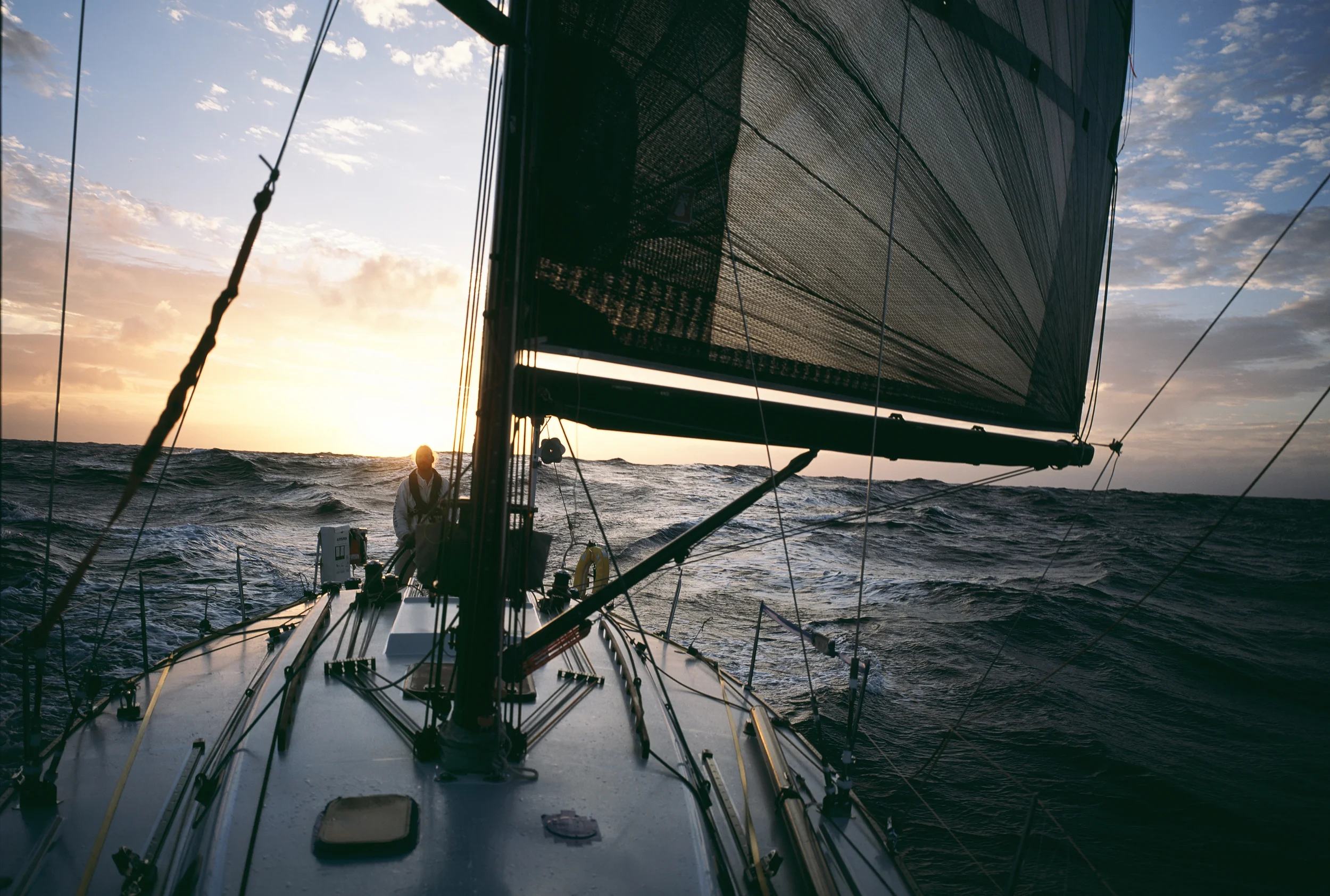 Sailing to Hawaii, 2014