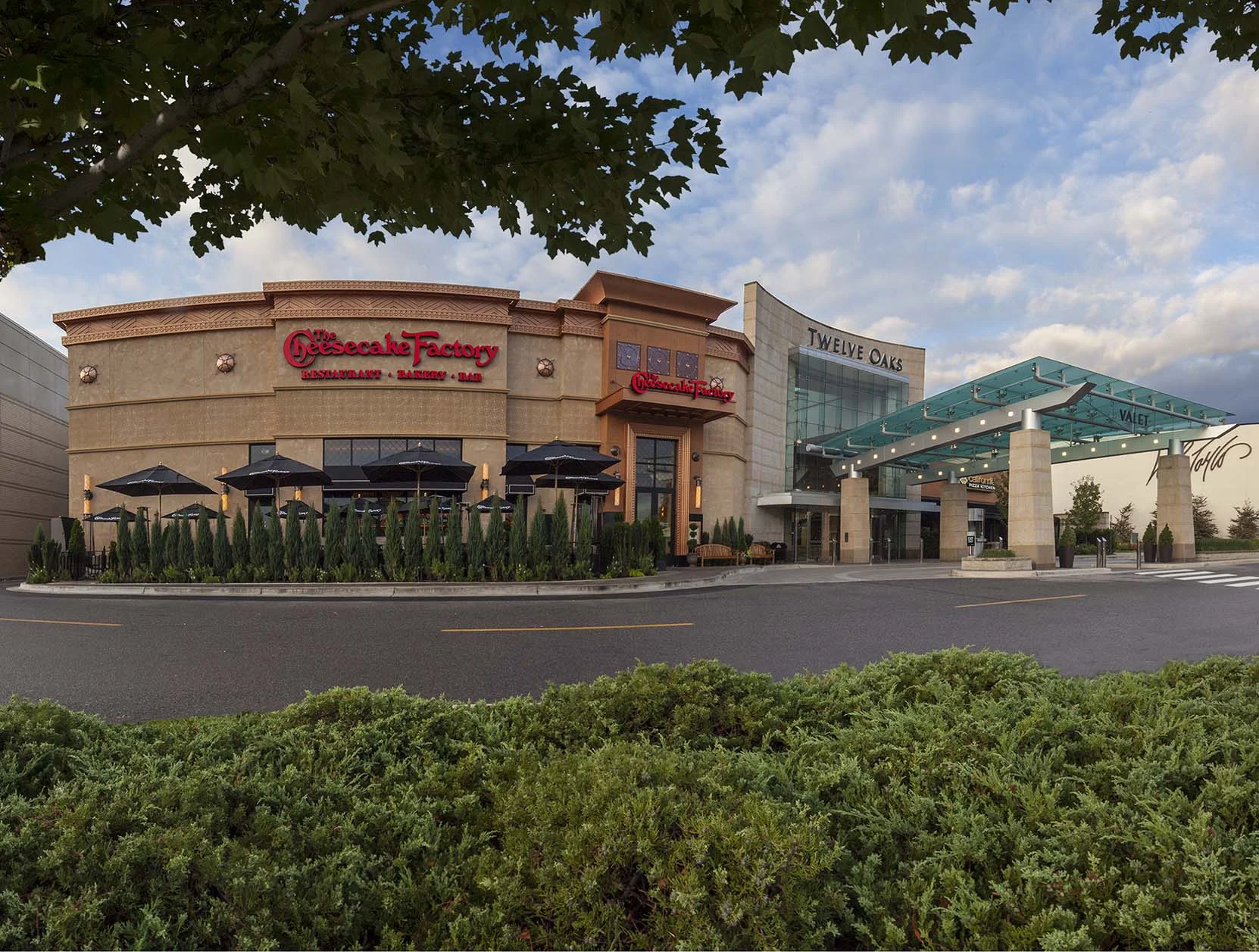 The Cheesecake Factory — Laszlo