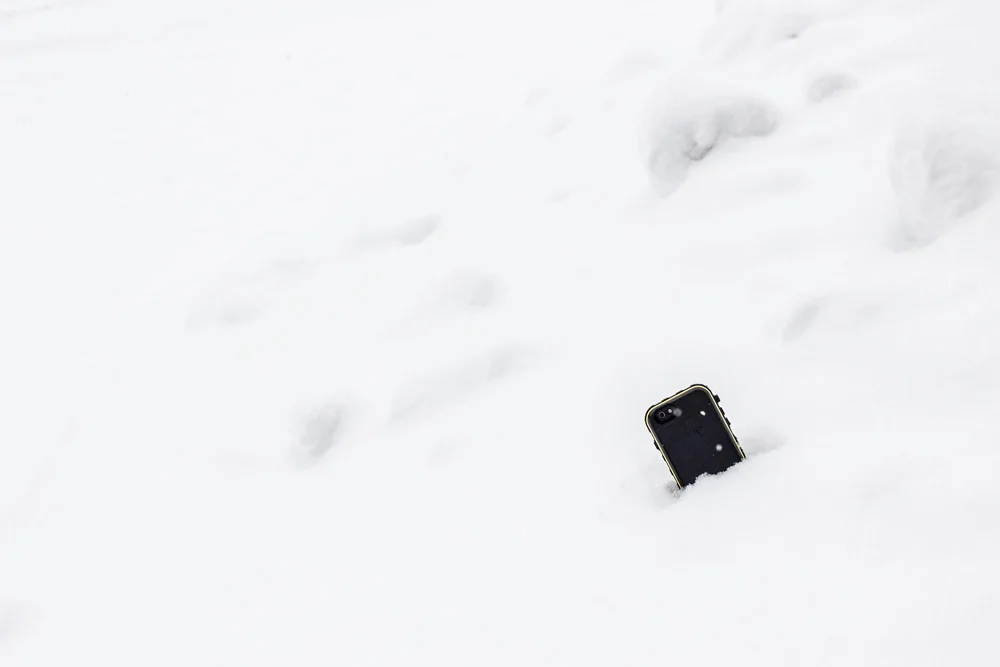 SnowLizard, 2017 snowlizard.com
