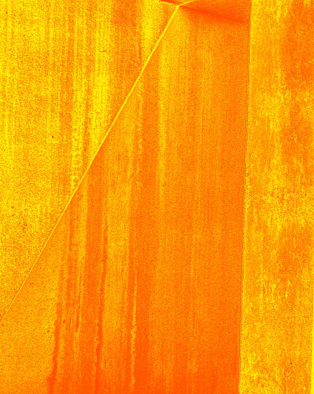 Yellow Line, 2017
