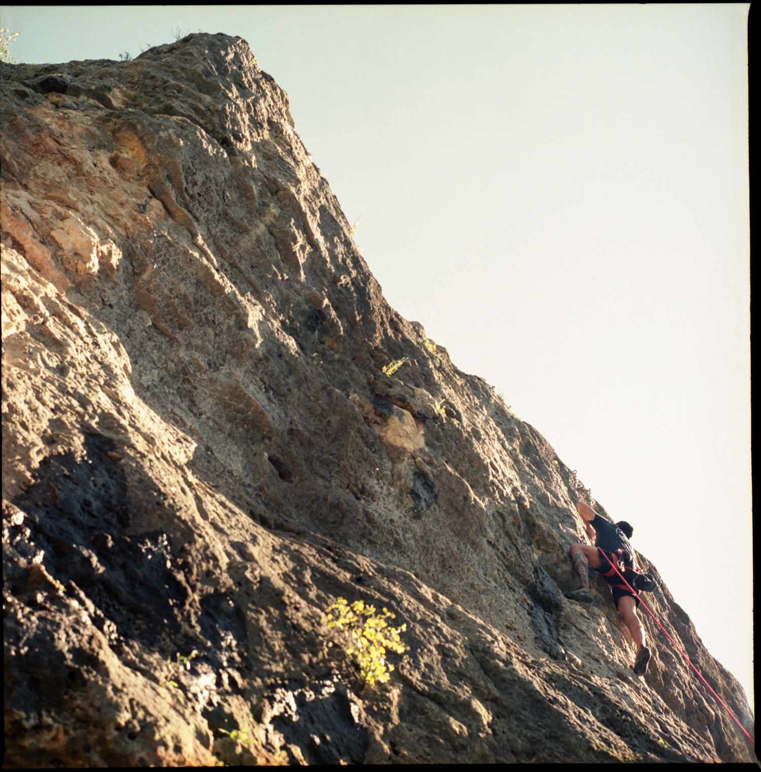 Conrad, 2019 Kodak Portra 400