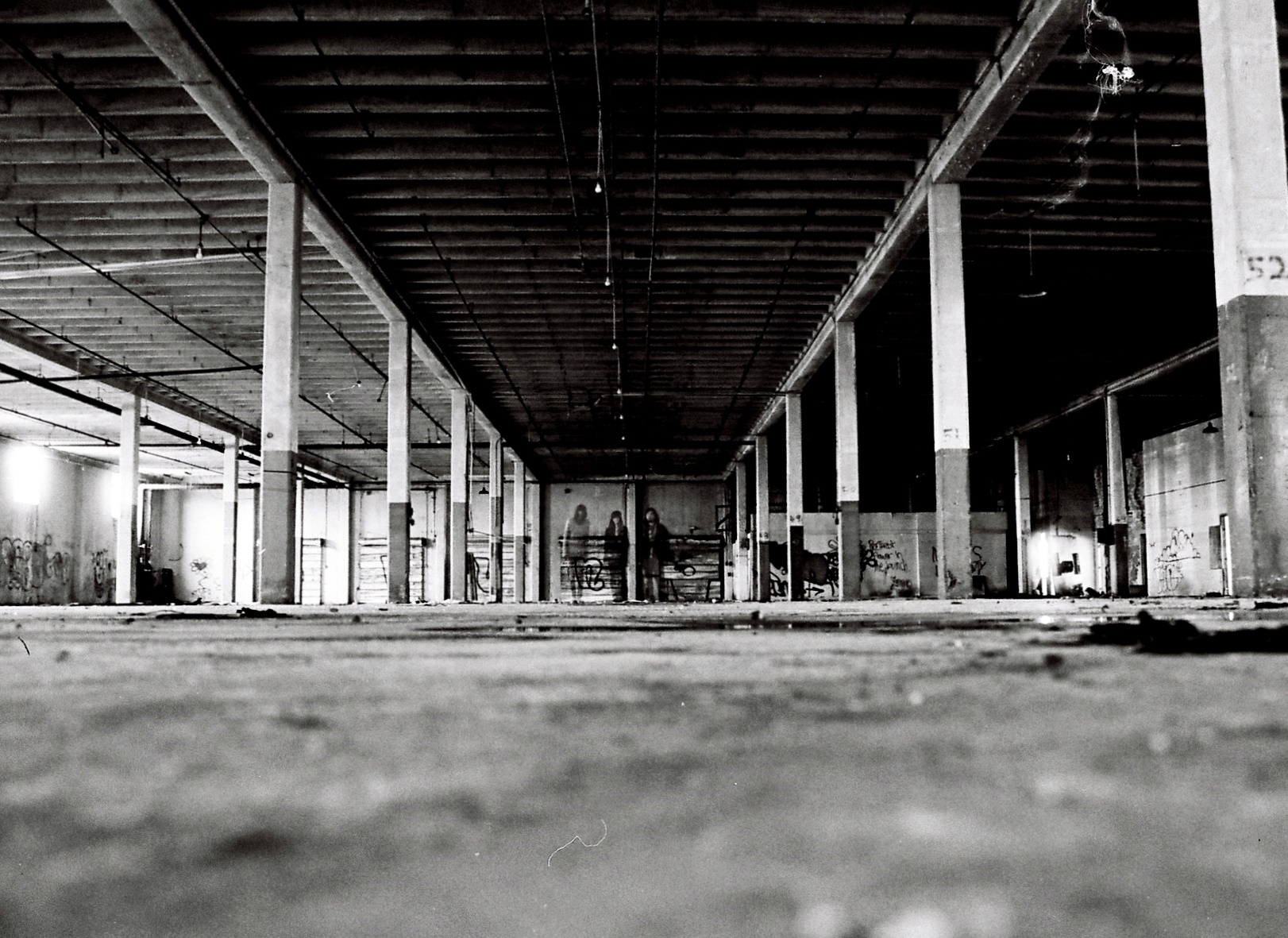 Pillars, 2012 Kodak BW400CN