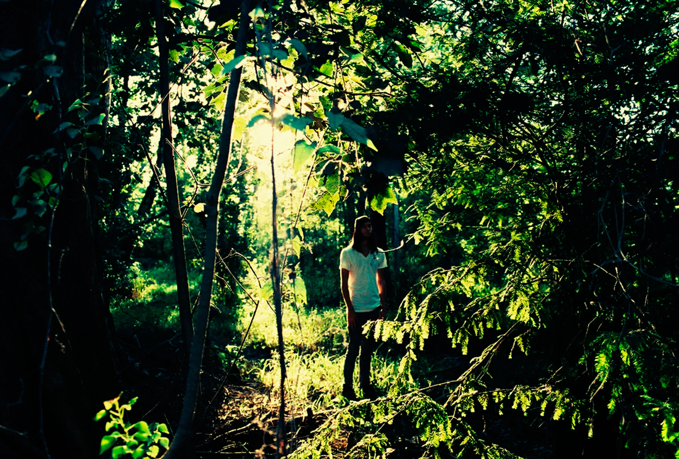 Greenery, 2012 Kodak Ektachrome 100