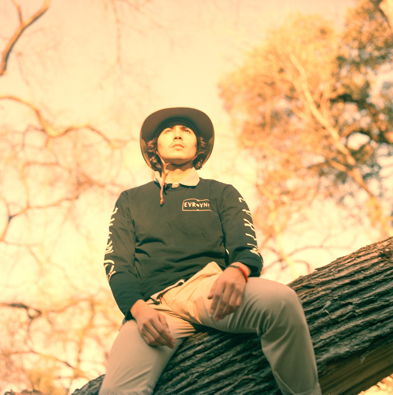 Mario-Tree-Chill-Color-WW.jpg