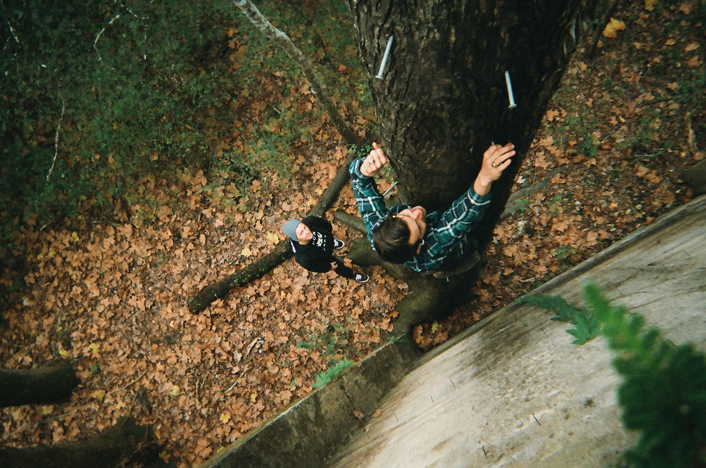 Tree Climber, 2016 Kodak Portra 400