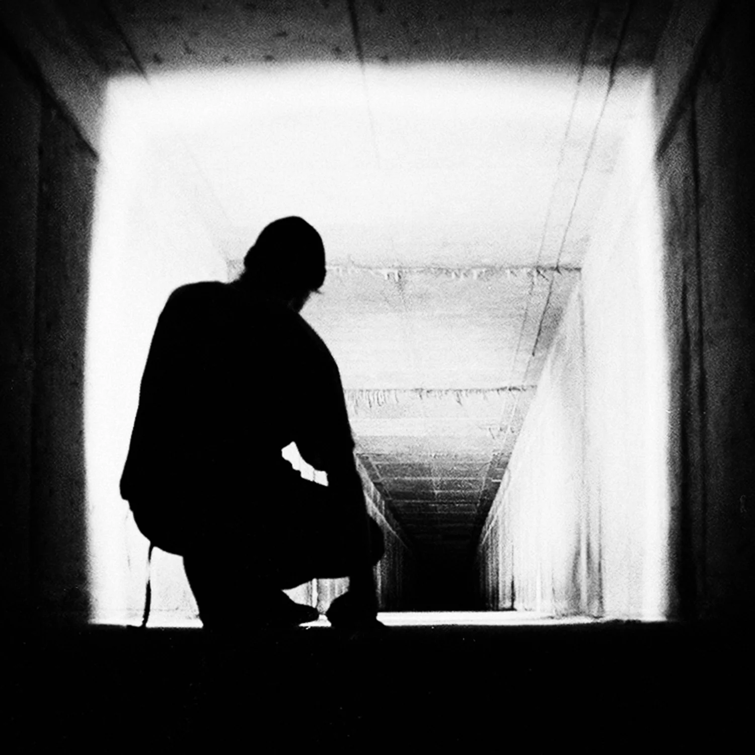 Cube, 2015 Kodak BW400CN