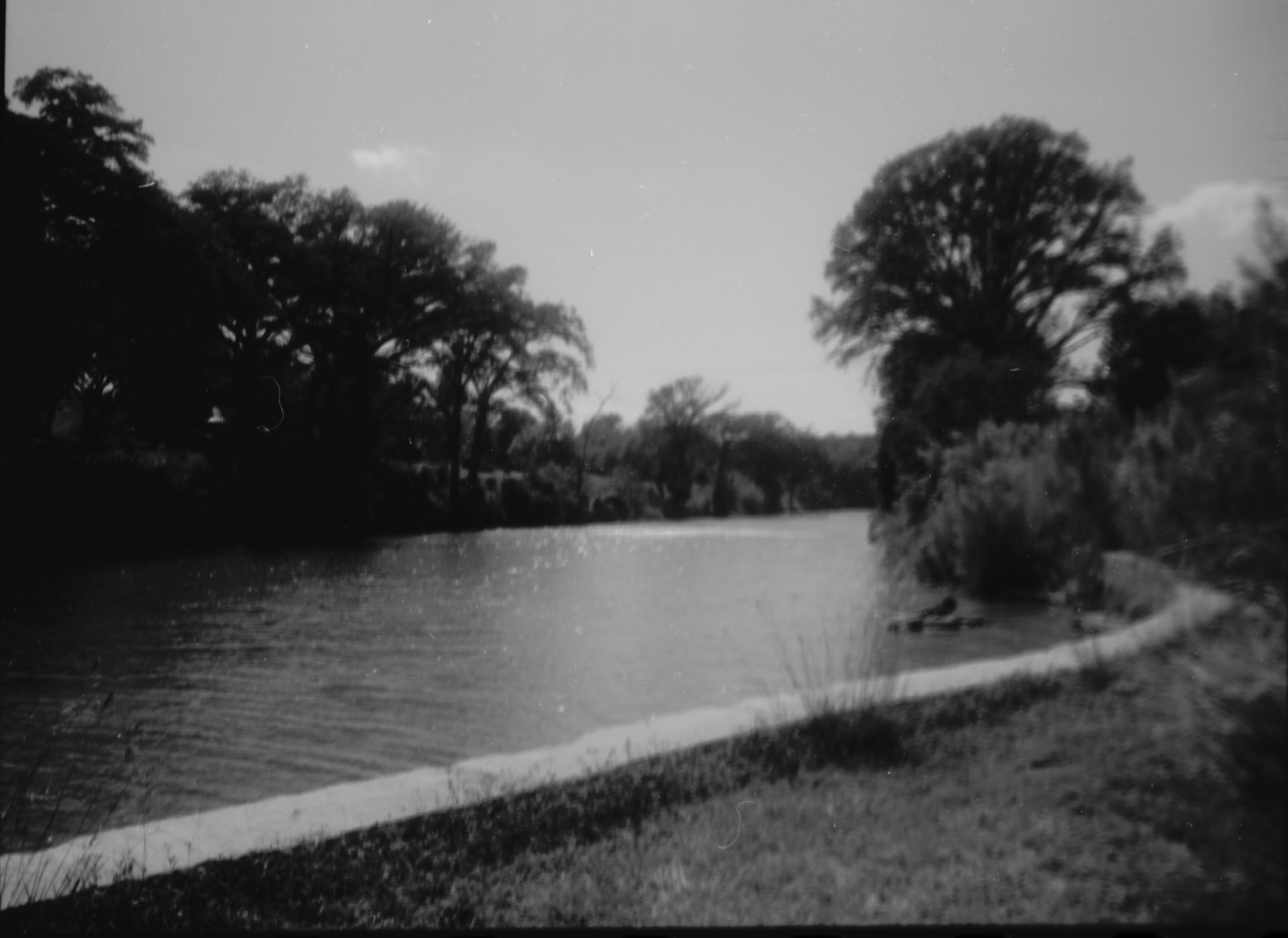 rew012.jpg