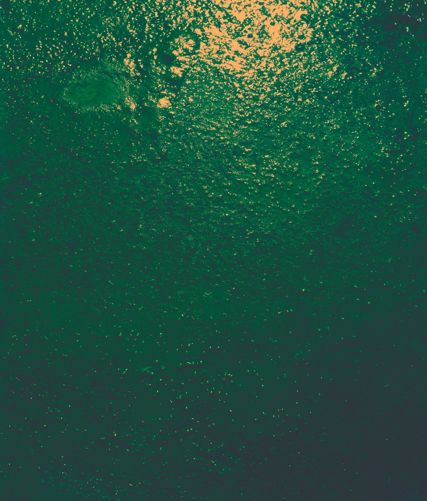 Ditch-Abs-Blue-1-WW.jpg
