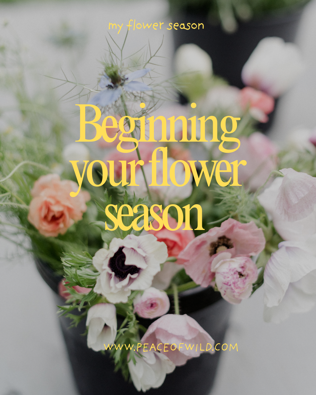 Little Things I’ve Been Noticing Lately - 2.PNG