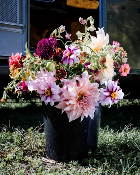 Meadowbloom-2019-floral-design-farm-flowers-jessica-suda-lawrence-braun-LARGE-WEB-0027-LB001517 (3).jpg