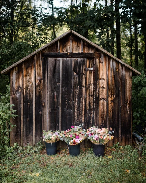 SUMMER FLOWER CSA JULY-SEPTEMBER